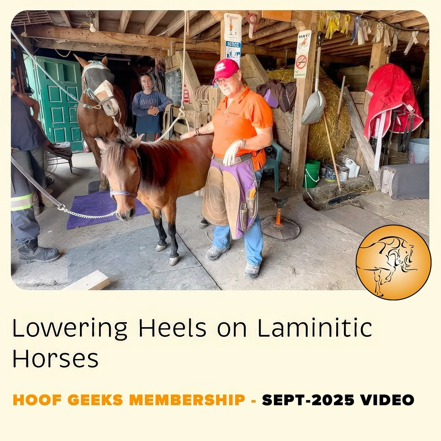 Got a laminitic horse? Lowering heels safely isn&rsquo;t just about balance &mdash; it can also bring much-needed comfort. In this new Hoof Geeks membership video, Christine shows the board test in action, revealing exactly how to find a safe heel he