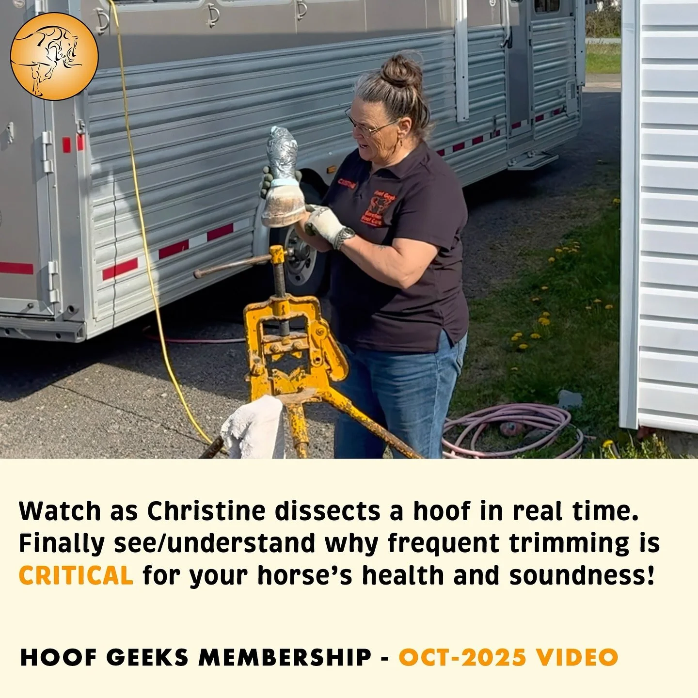 What&rsquo;s inside the hoof matters. 🐴
This month&rsquo;s Hoof Geeks video takes you inside a cadaver dissection to explore the coffin bone, digital cushion, and more.
👉 Get instant access to this video + 17 others when you join the Hoof Geeks Mem