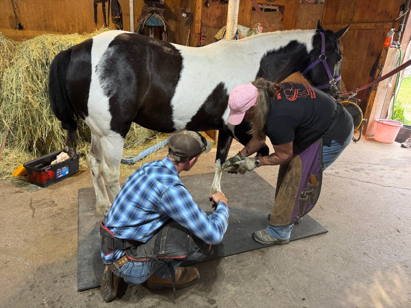 Hoof Trimming Clinic Carstairs, AB