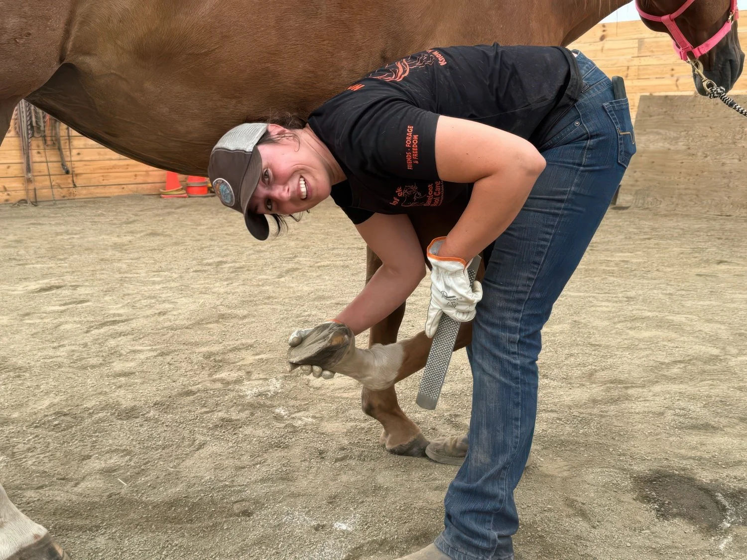 Hoof Trimming Clinic St. Andrews Mb