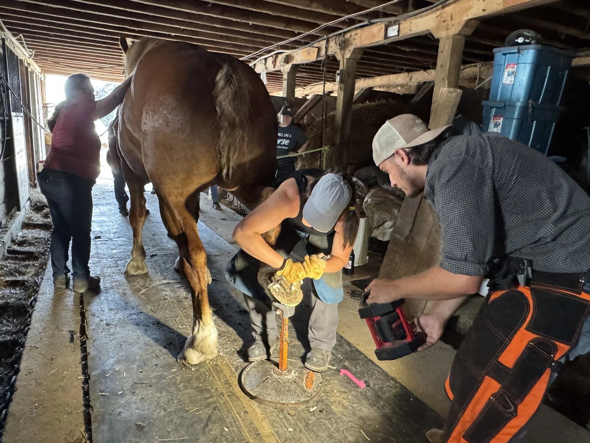 Fraser-Fort George BC - June 18-21, 2026