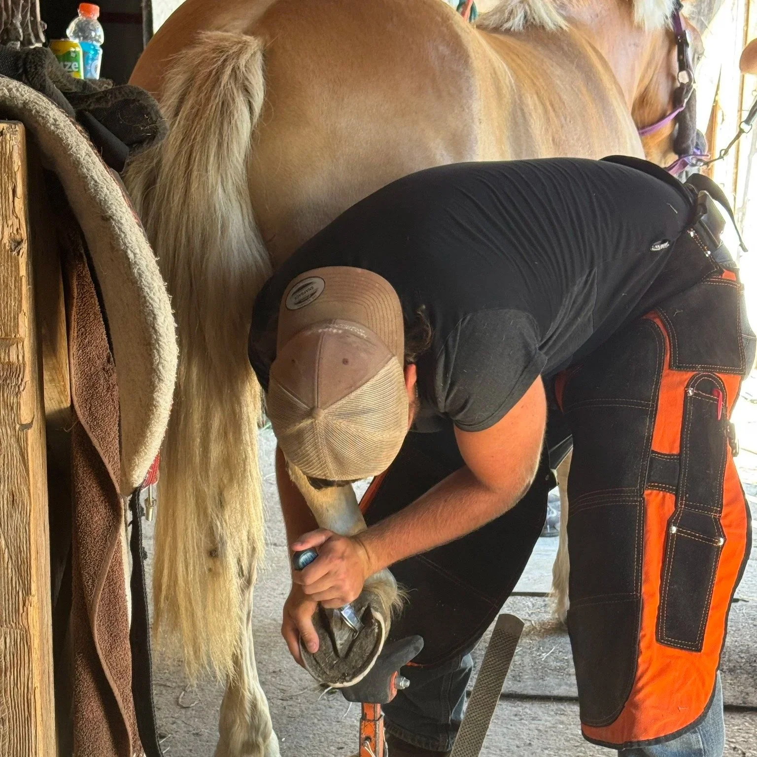 Hoof Trimming Clinic Houston BC