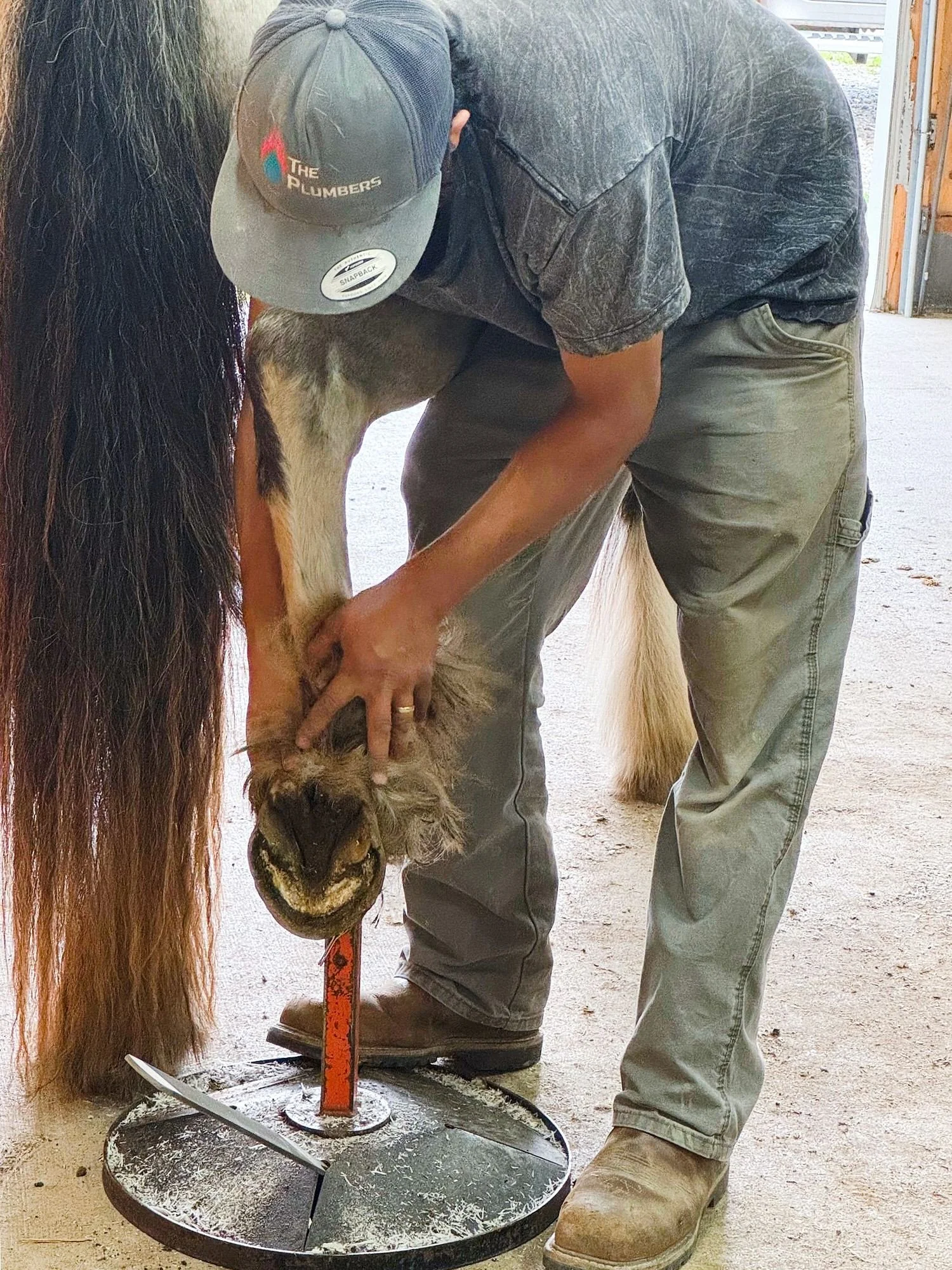 Hoof Trimming Clinic DUNCAN, BC