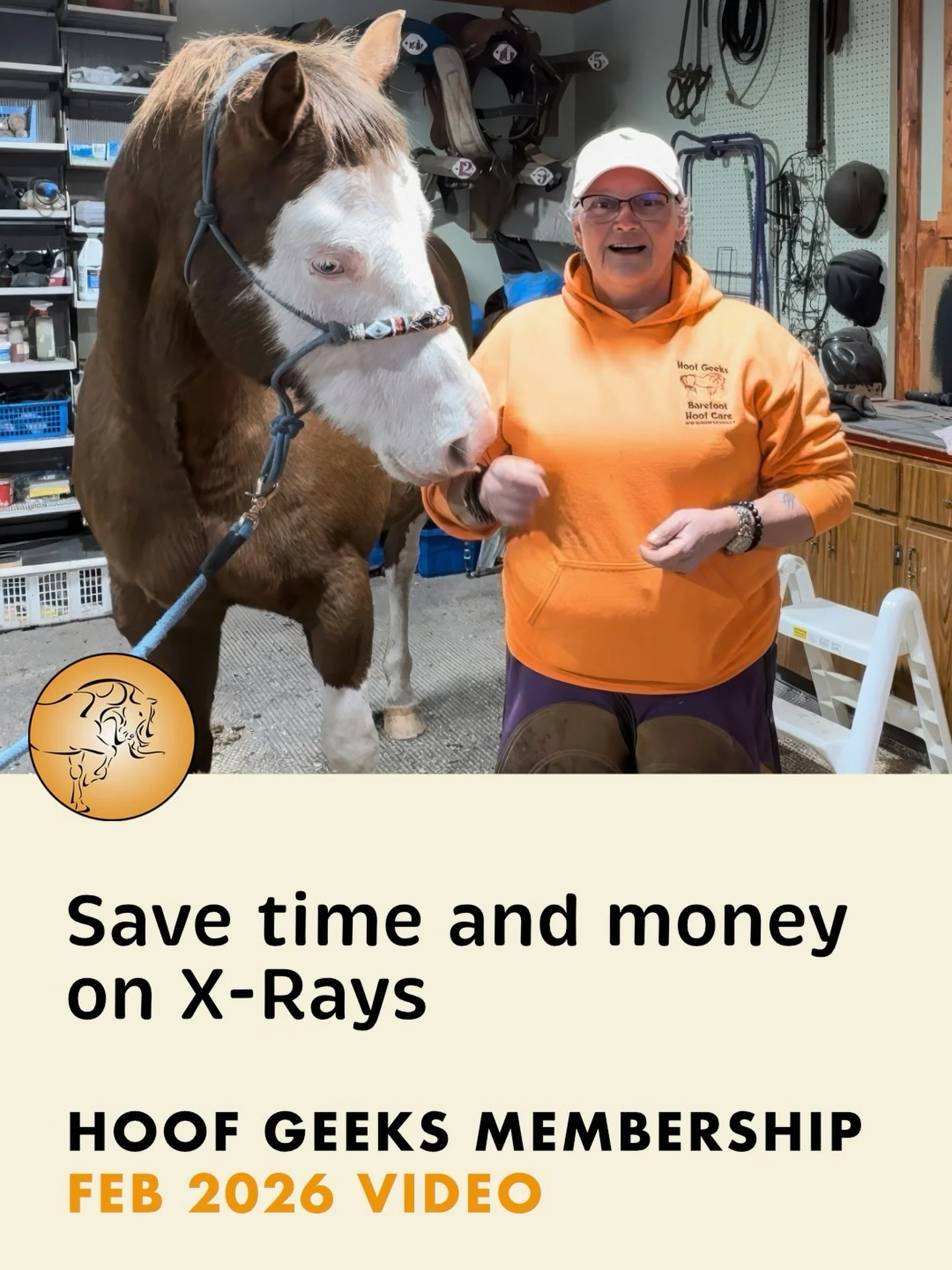 📸 Ever get hoof X-rays back and feel unsure what you&rsquo;re really looking at?
In this month&rsquo;s Hoof Geeks Membership video, Christine walks through exactly how to prepare your horse for hoof radiographs so your vet can capture clear, meaning