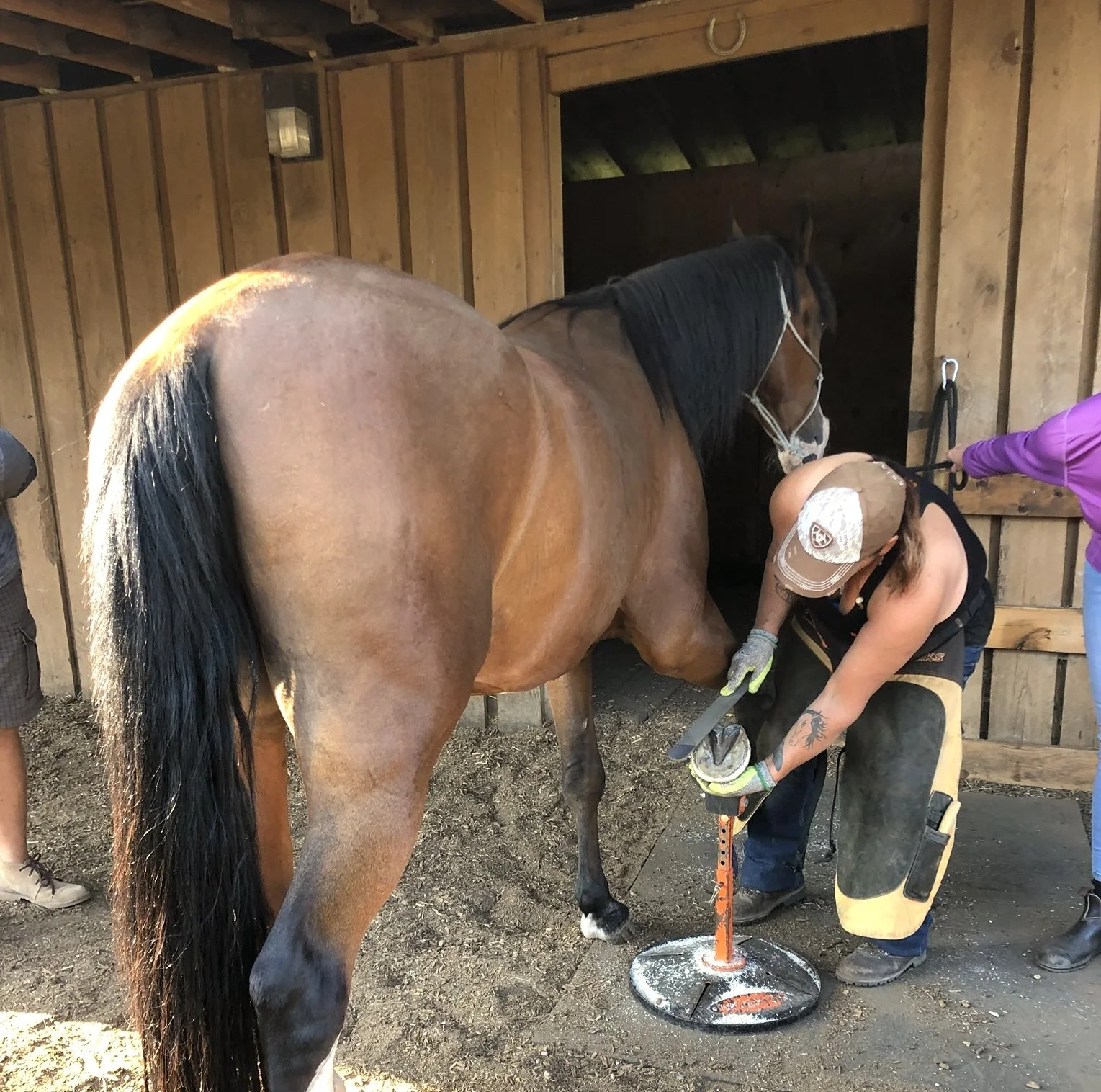 Kelowna BC - August 13-16, 2026