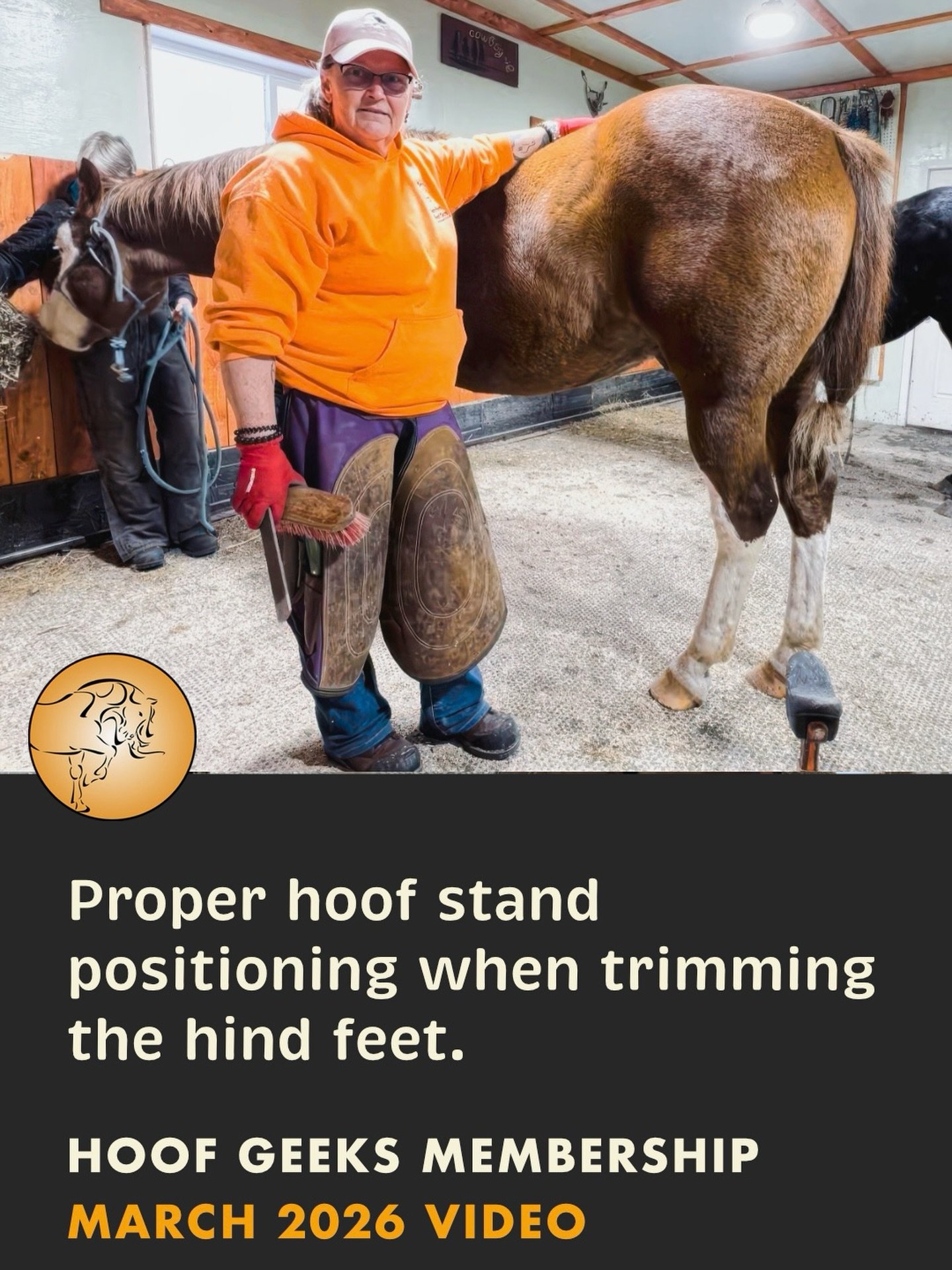 Ever feel unsure about trimming hind feet? 👀

Are you:
&bull; Placing the hoof stand where you feel comfortable &mdash; instead of where your horse is comfortable?
&bull; Pulling the leg toward the stand instead of aligning it naturally?
&bull; Unsu