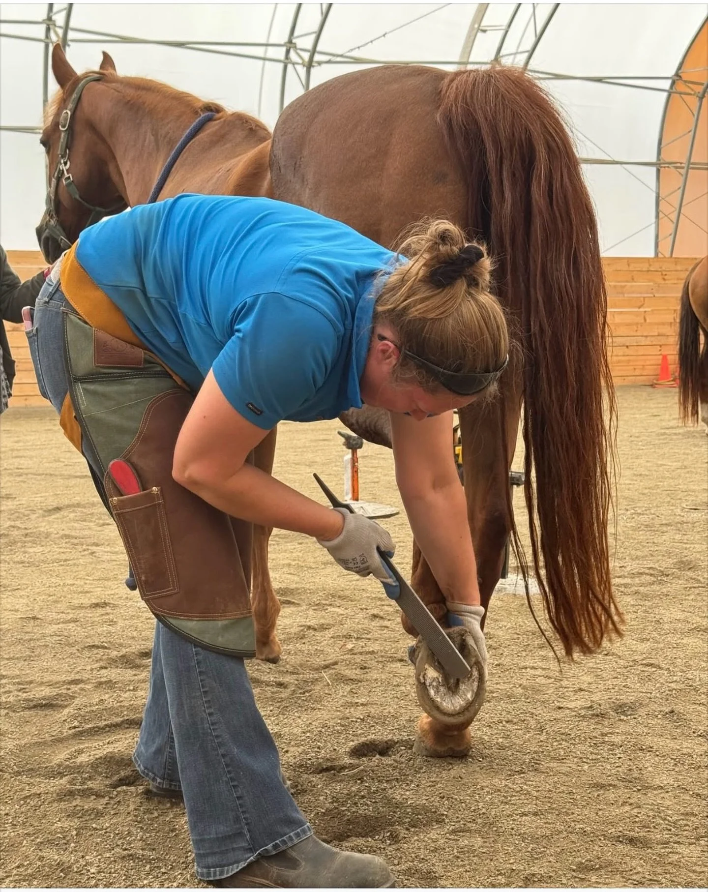 Most hoof problems don&rsquo;t start suddenly.

They build slowly&hellip;

Until one day your horse is lame.

The frustrating part?

👉 The signs were there all along.

You just didn&rsquo;t know what to look for.

That&rsquo;s exactly why we created