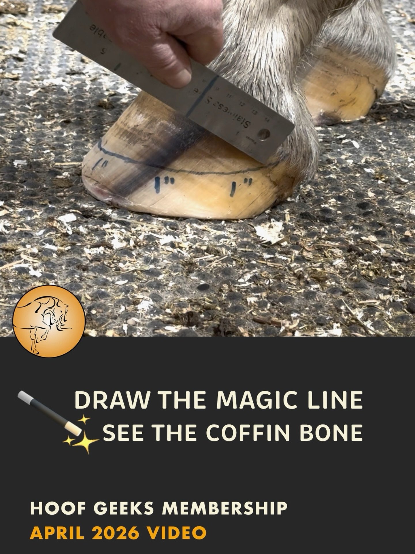 What if you could see where the coffin bone sits&hellip; just by looking at the hoof? 👀

Have you ever:
 &bull; Heard of the &ldquo;magic line&rdquo; but weren&rsquo;t sure how to draw it?
 &bull; Wondered if you&rsquo;re measuring from the right pl