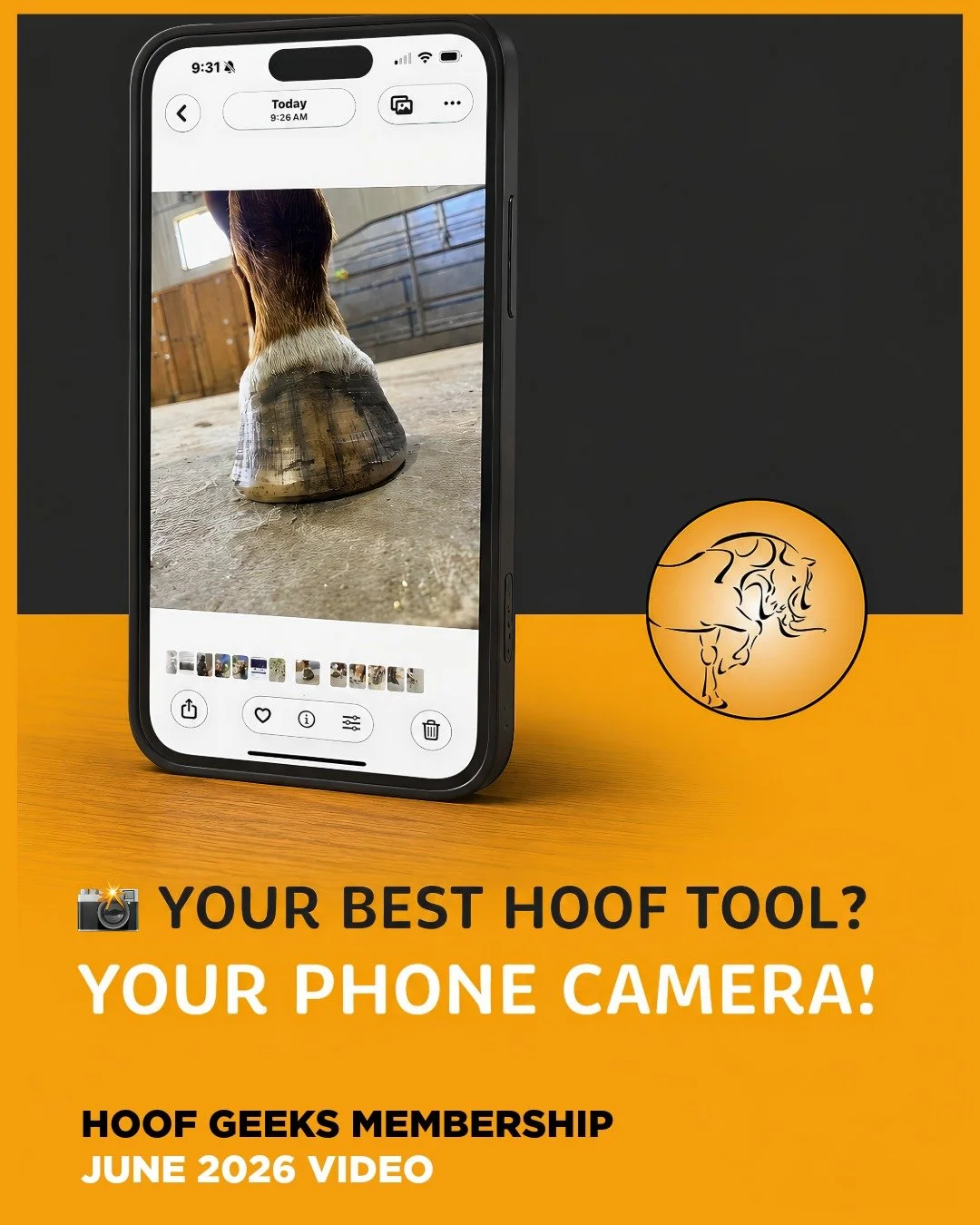 📸 NEW JUNE MEMBERSHIP VIDEO NOW AVAILABLE 🐴
Did you know one of the best hoof care tools you own is probably already in your pocket?

This month, Christine demonstrates how to properly edit your hoof photos so they become a valuable tool for evalua