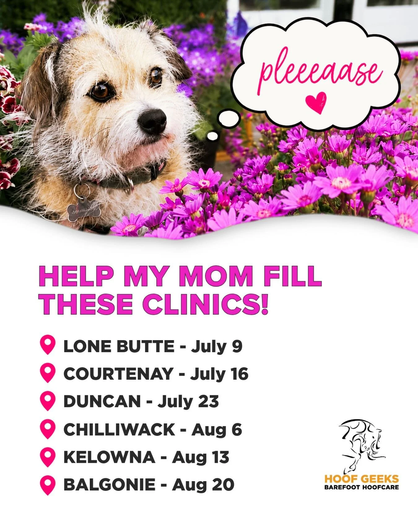🐾 Hi friends!

My power-pup Mage would like to ask a favour... 💕

We REALLY need more sign-ups for the following clinics:

🐴 Lone Butte, BC - July 9
🐴 Courtenay, BC - July 16
🐴 Duncan, BC - July 23
🐴 Chilliwack, BC - August 6
🐴 Kelowna, BC - A