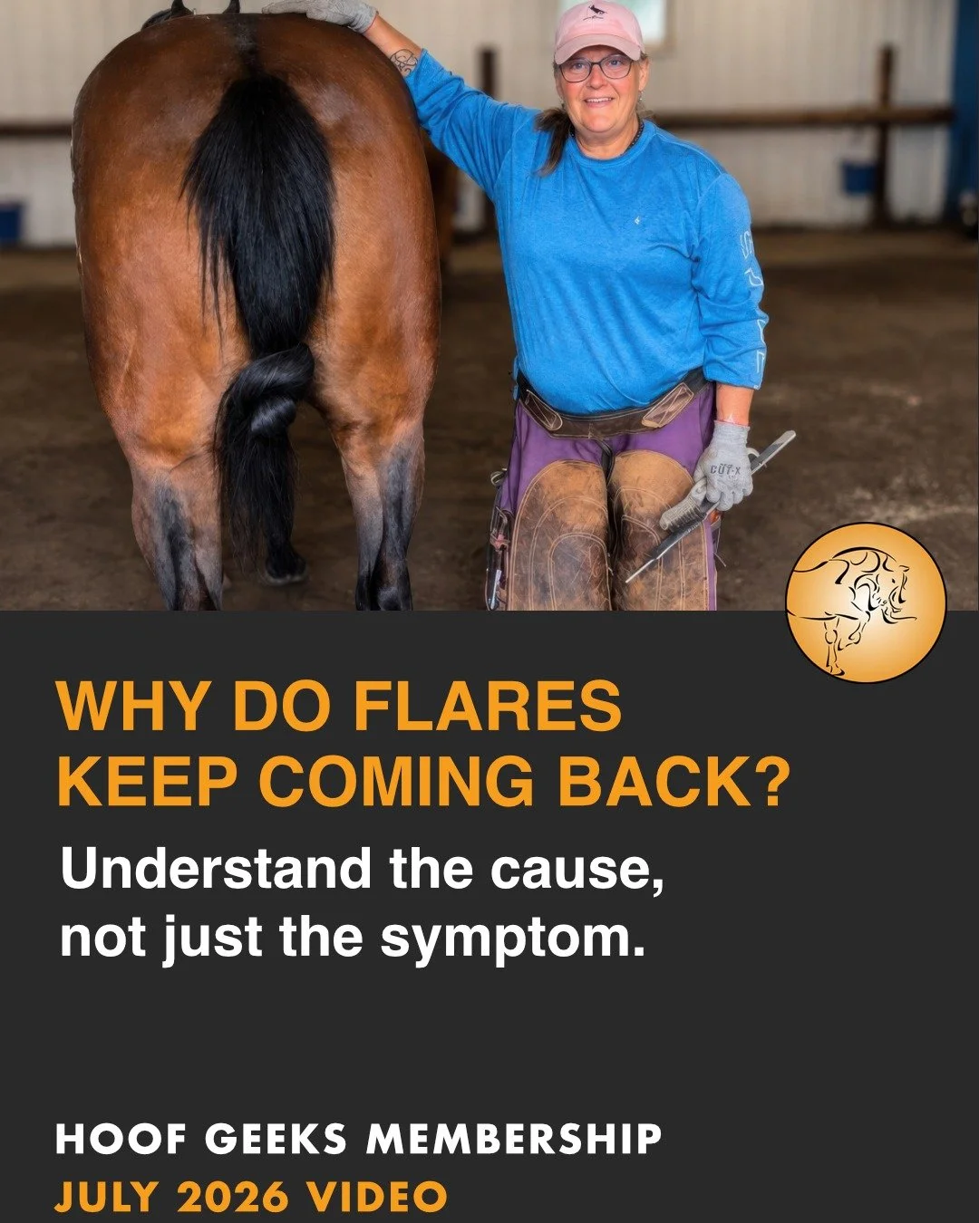 🦶 Flares don't just appear by chance, and removing them isn't always the whole answer.

In this month's Hoof Geeks member lesson, Christine explores what flares really are, why they develop, and how understanding the cause leads to better trimming d