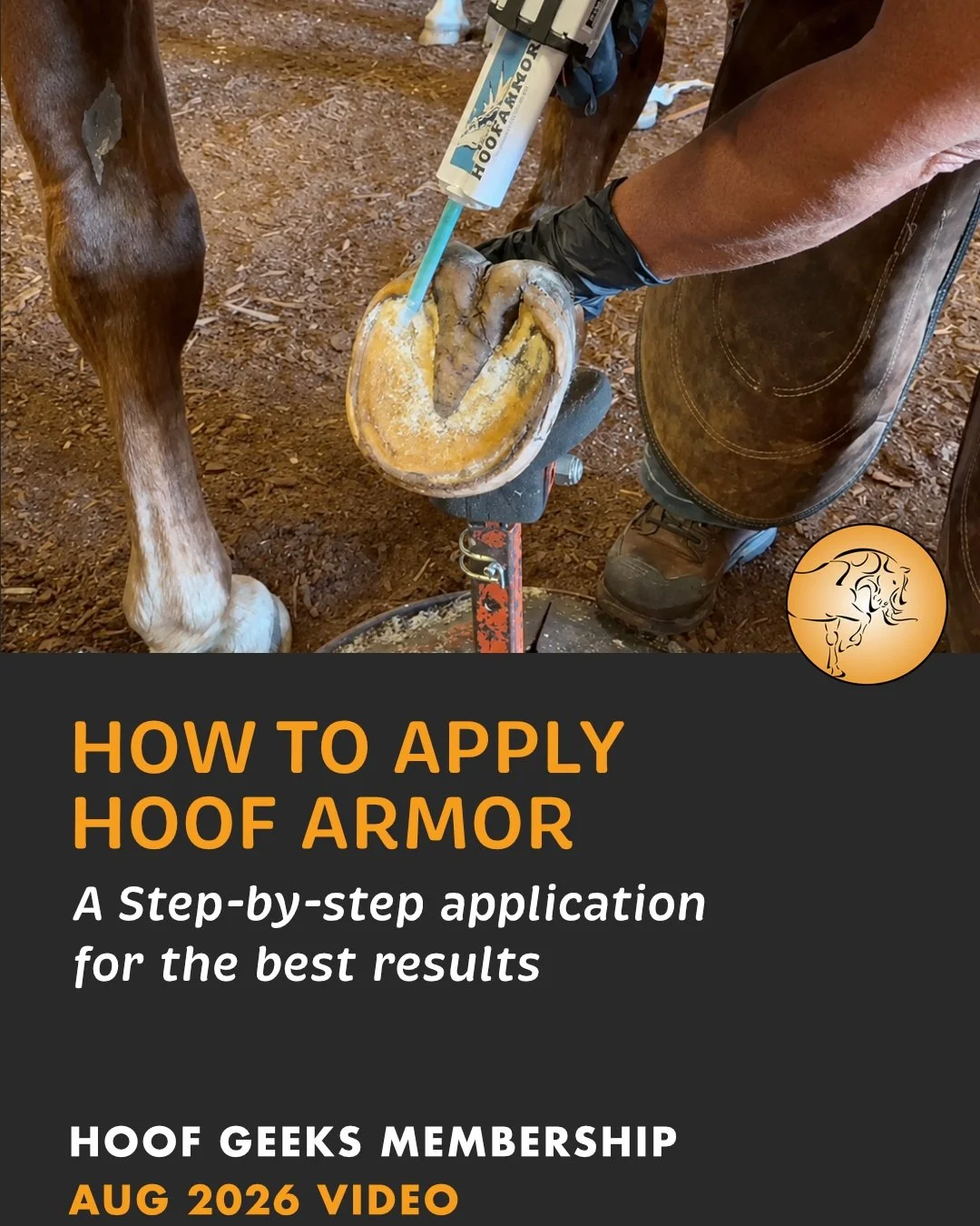 Applying Hoof Armor with confidence starts with good preparation. 🐴

In this month's Hoof Geeks Membership video, Christine demonstrates the complete Hoof Armor application process, shares practical tips for getting the best results, and explains wh