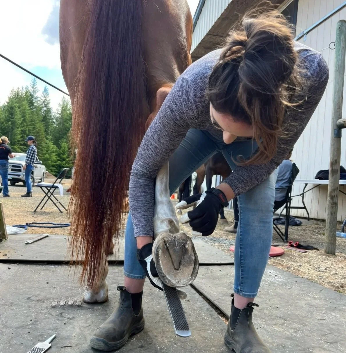 Provost AB - May 21-24, 2026