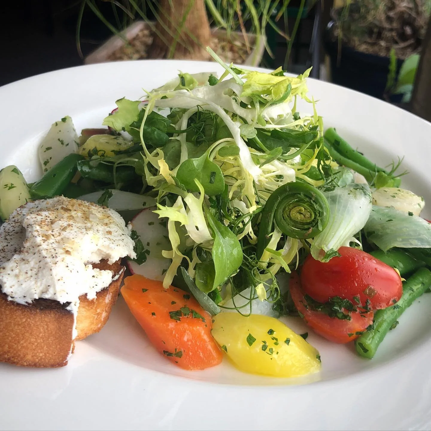 About — Slate Bleu Restaurant