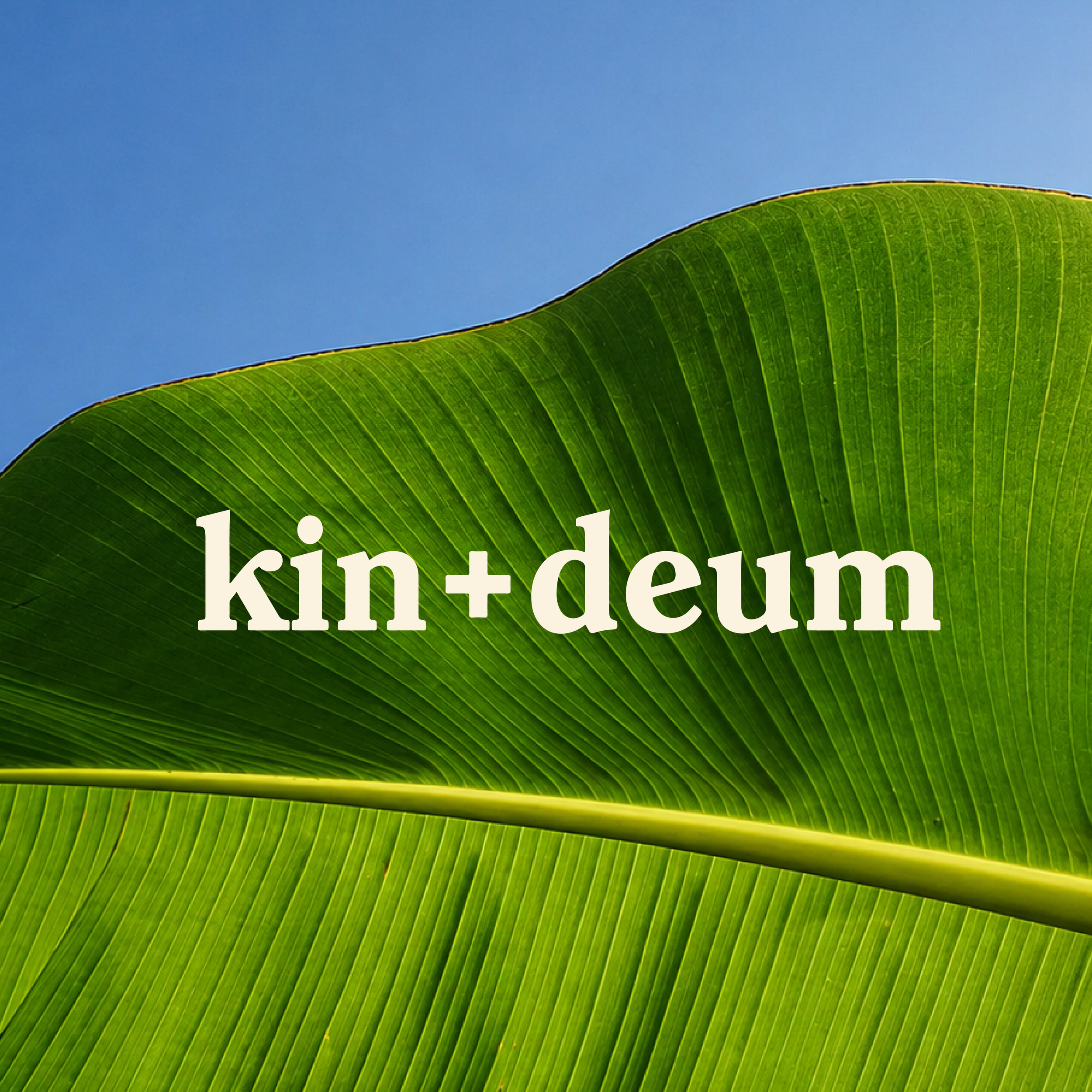 kin + deum
