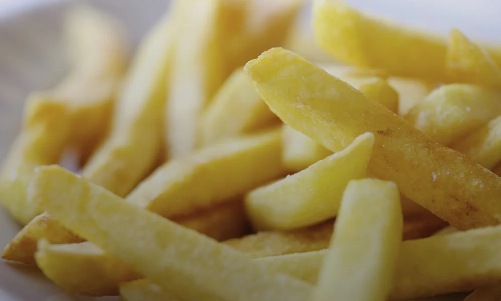 9.-ZichZach_Afbeelding_Frites_Kiosk.jpg
