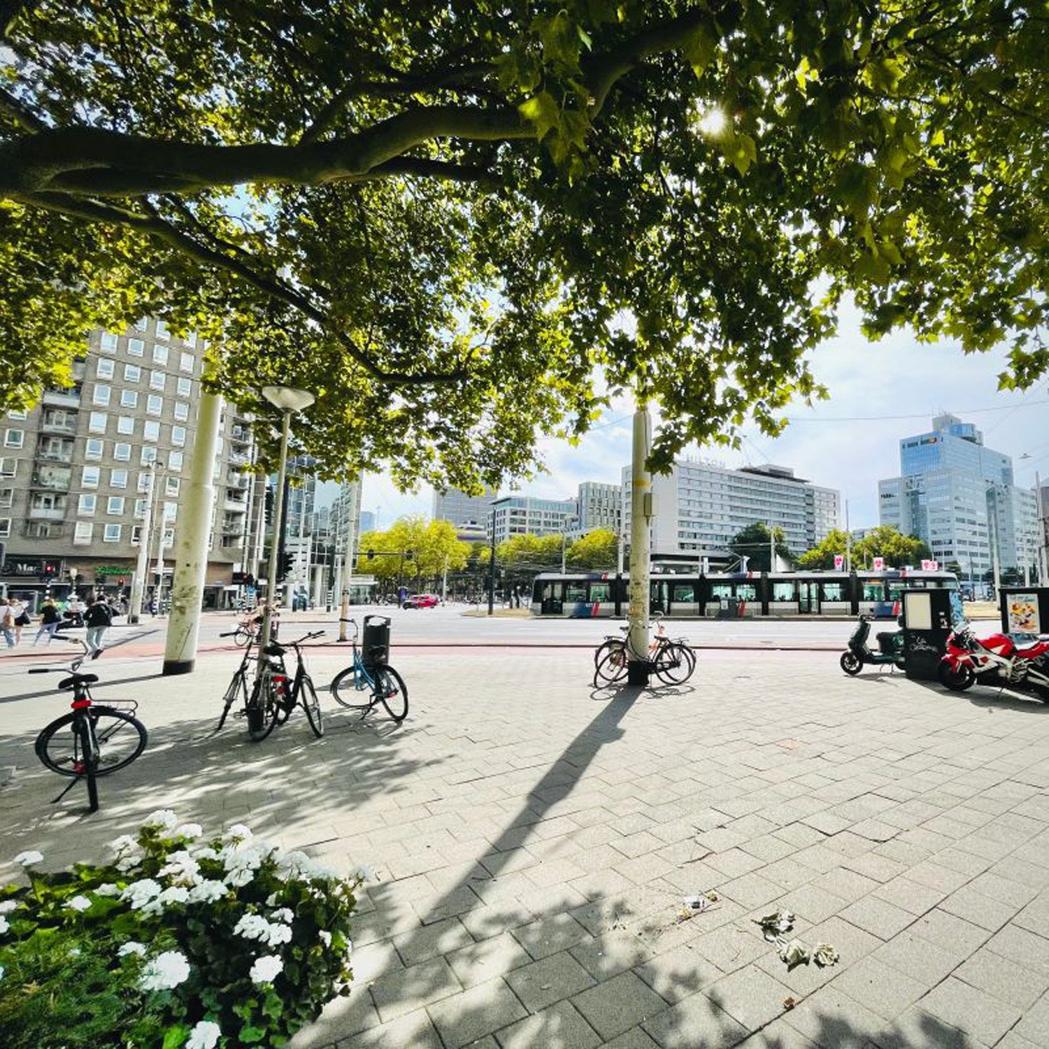 ZICHZACH kantoor aan het Hofplein te Rotterdam