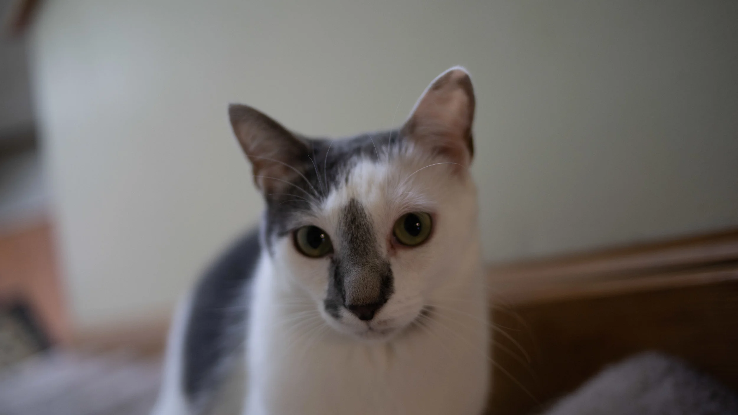DSC00683.jpg
