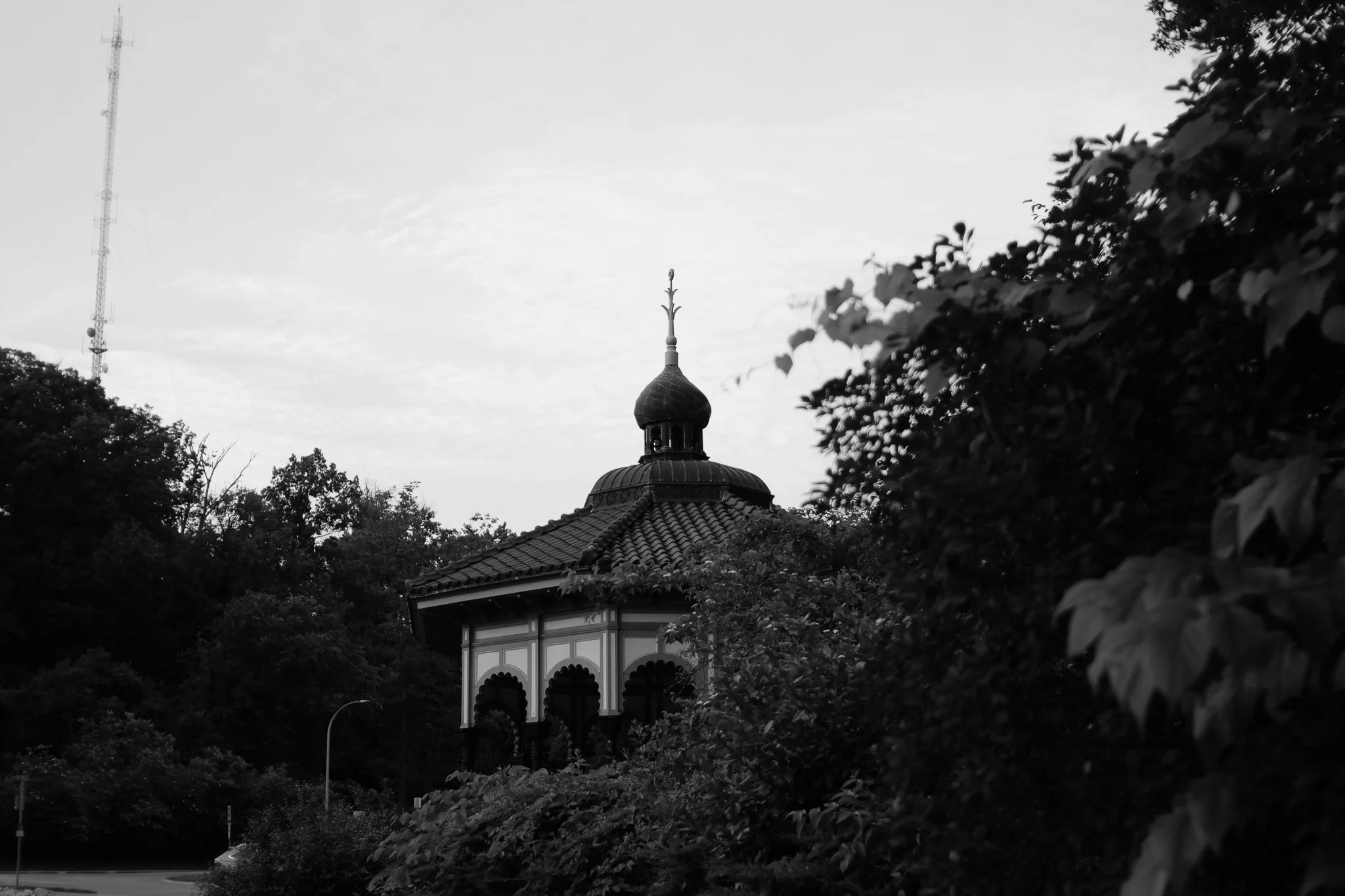 DSCF0965.jpg