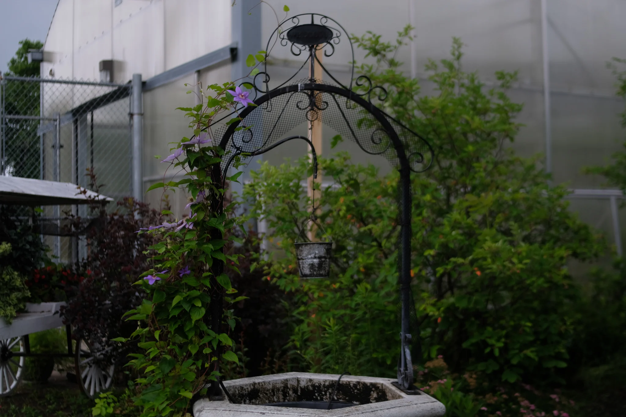 DSCF1294.jpg