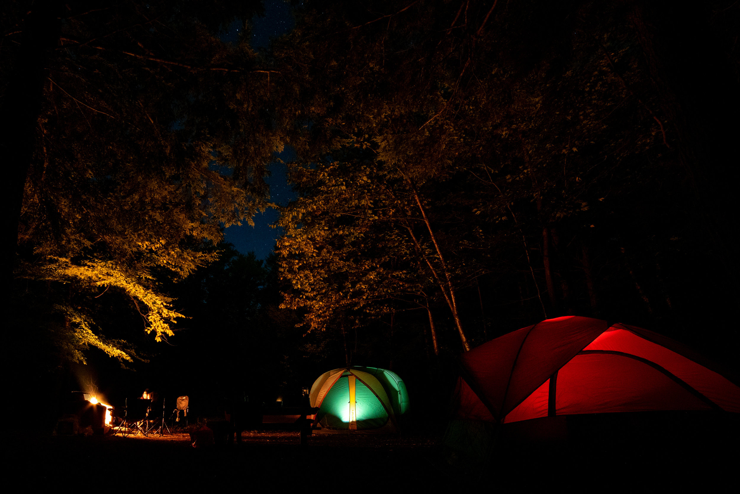 DSC_3858.jpg