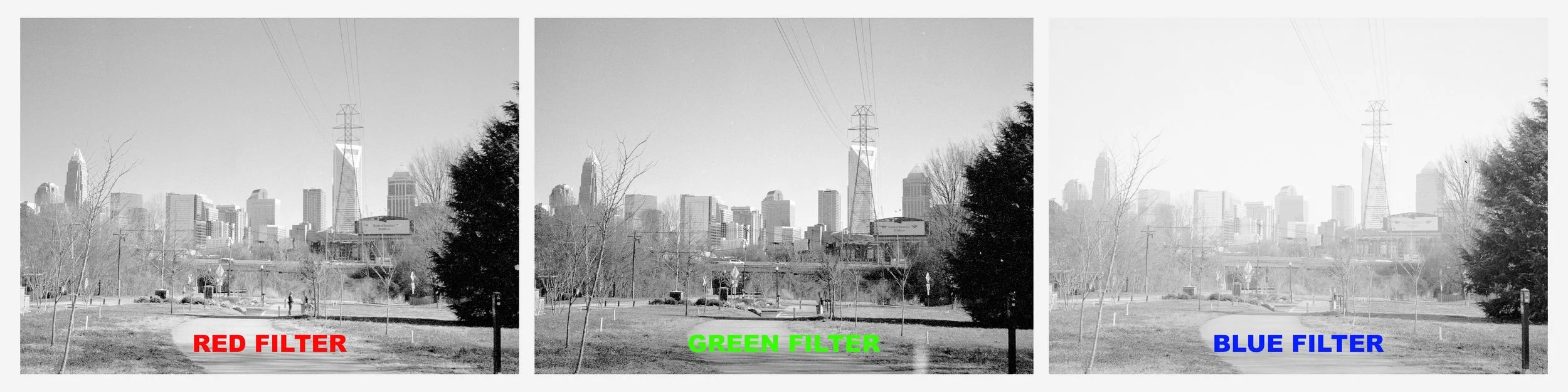 TrichromeWIP_2.jpg