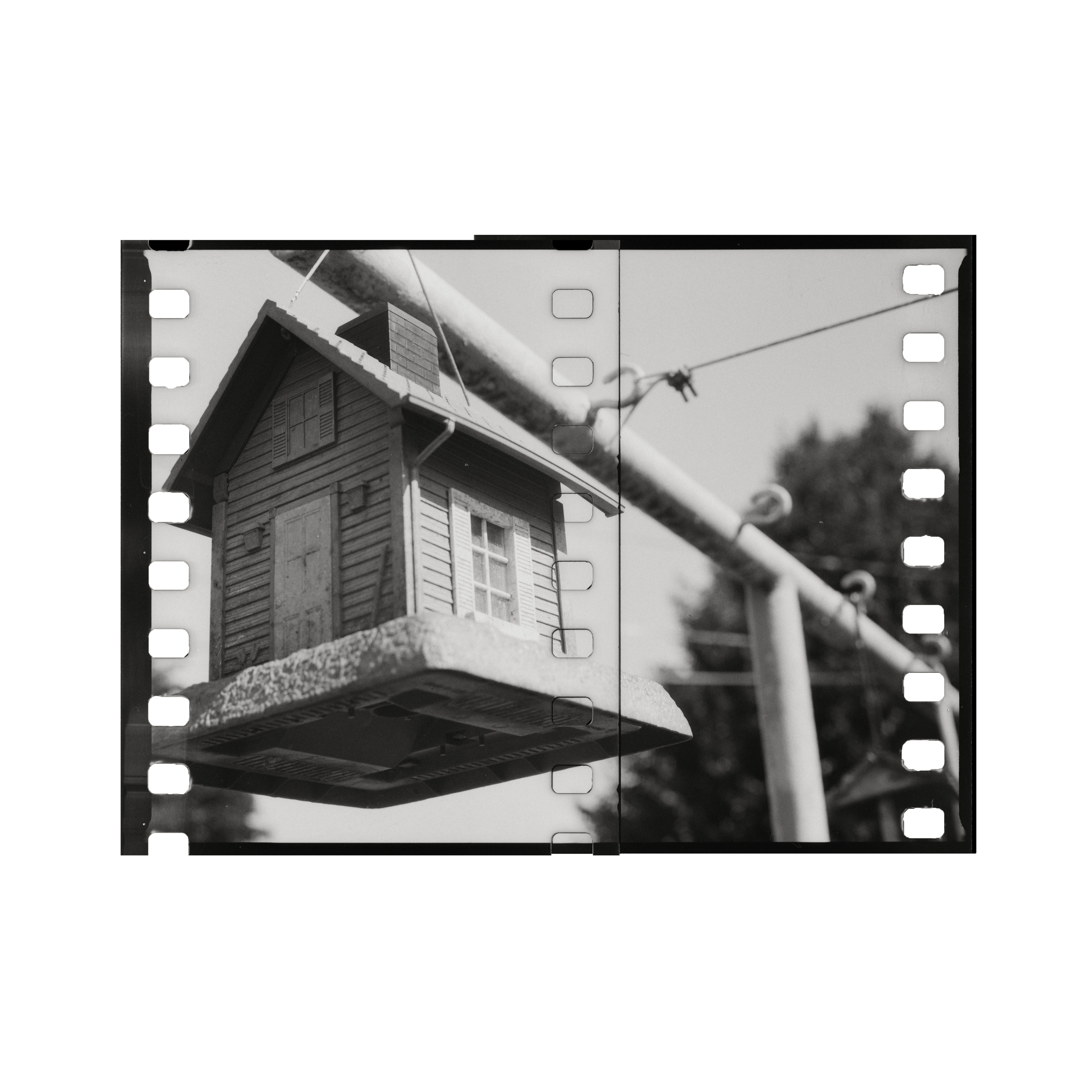 Birdhouse_horizontal.png