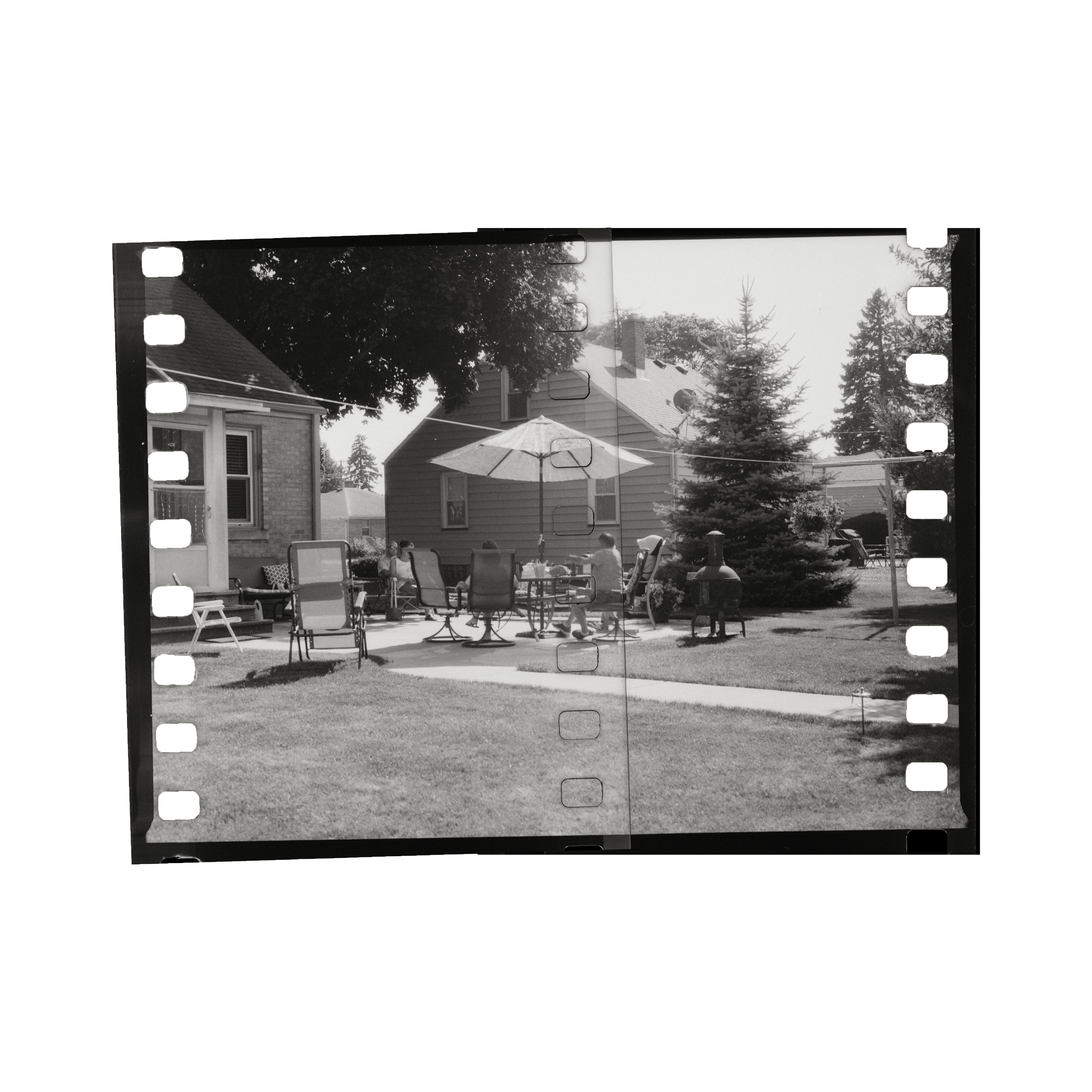 Backyard.png