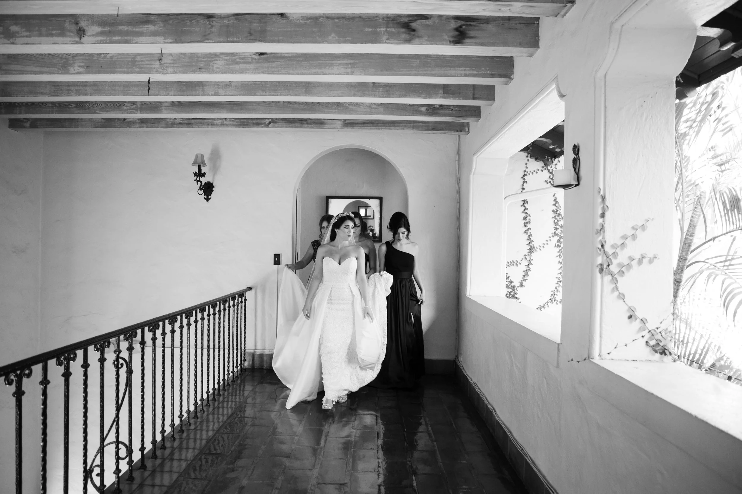 Dipp Photography 2018 Year in Review