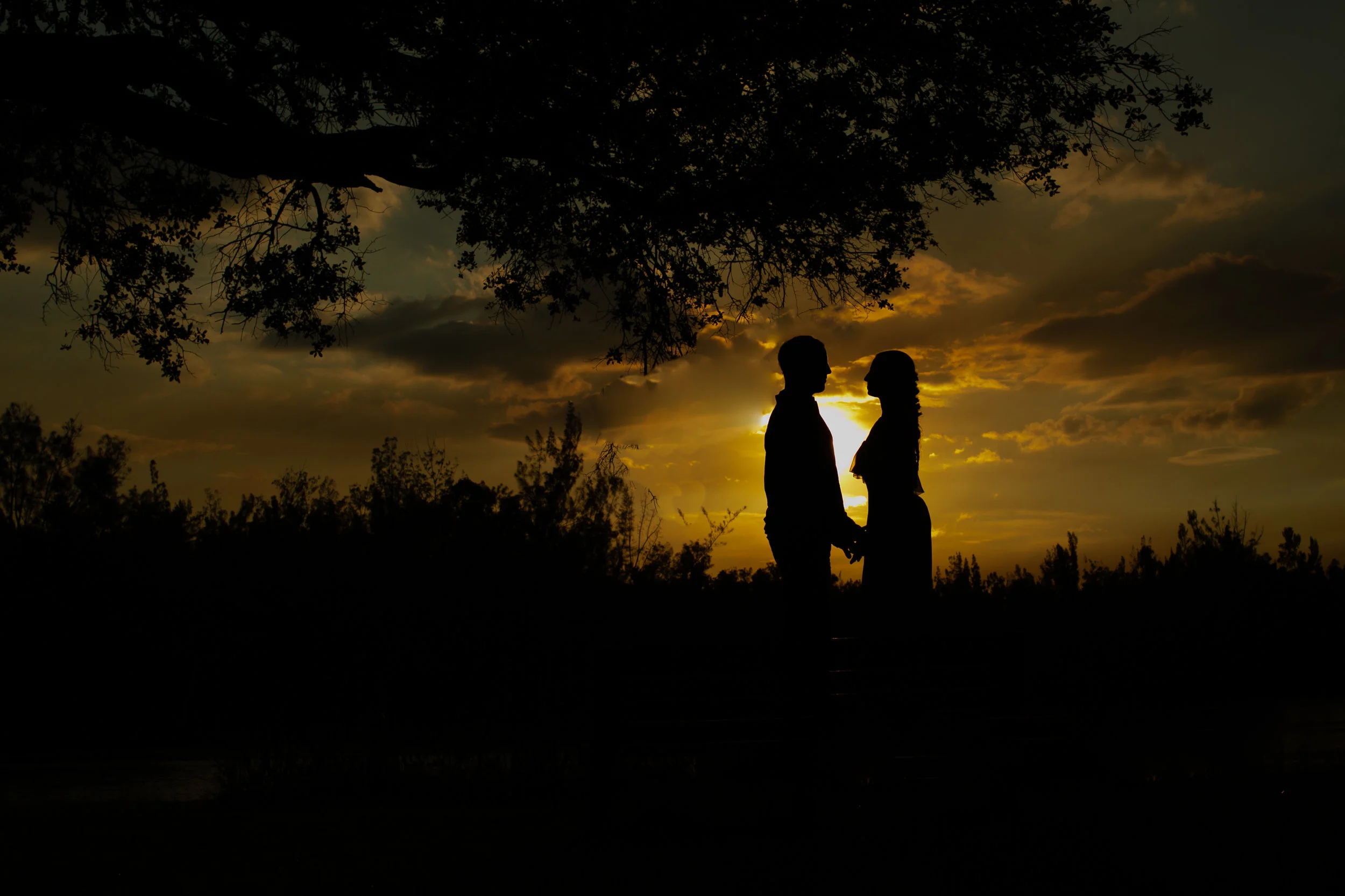 Tree Tops Park Engagement Photos - Dipp Photography829-Edit.jpg