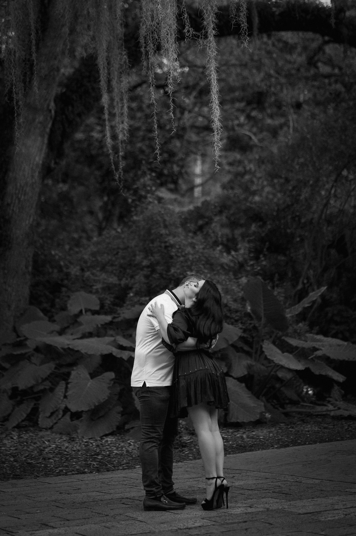 Fairchild Tropical Botanic Garden Engagement Photos | Dipp Photography