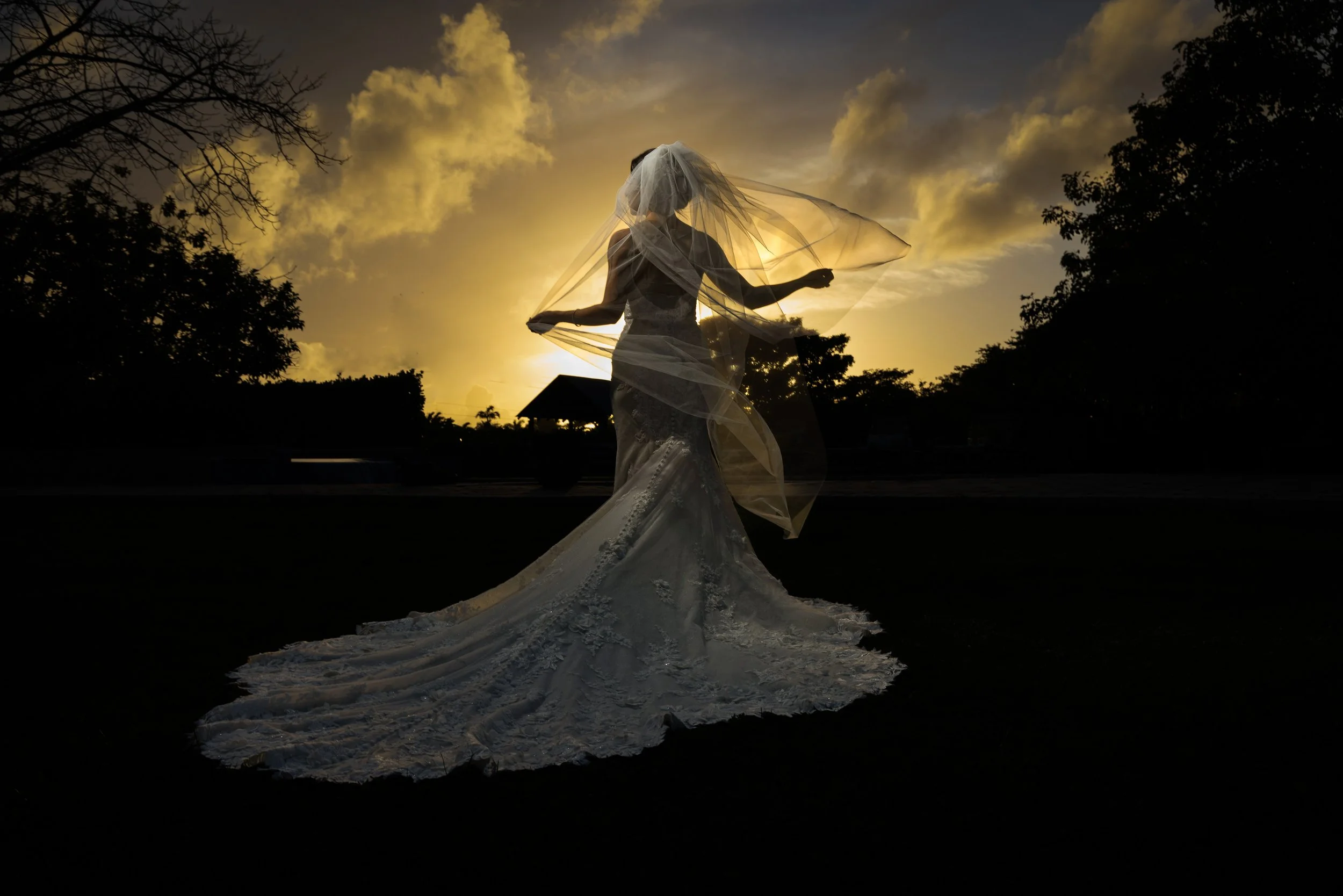 Silhouette of a bride in a wedding dress and veil, standing outdoors at sunset, with clouds and trees in the background.