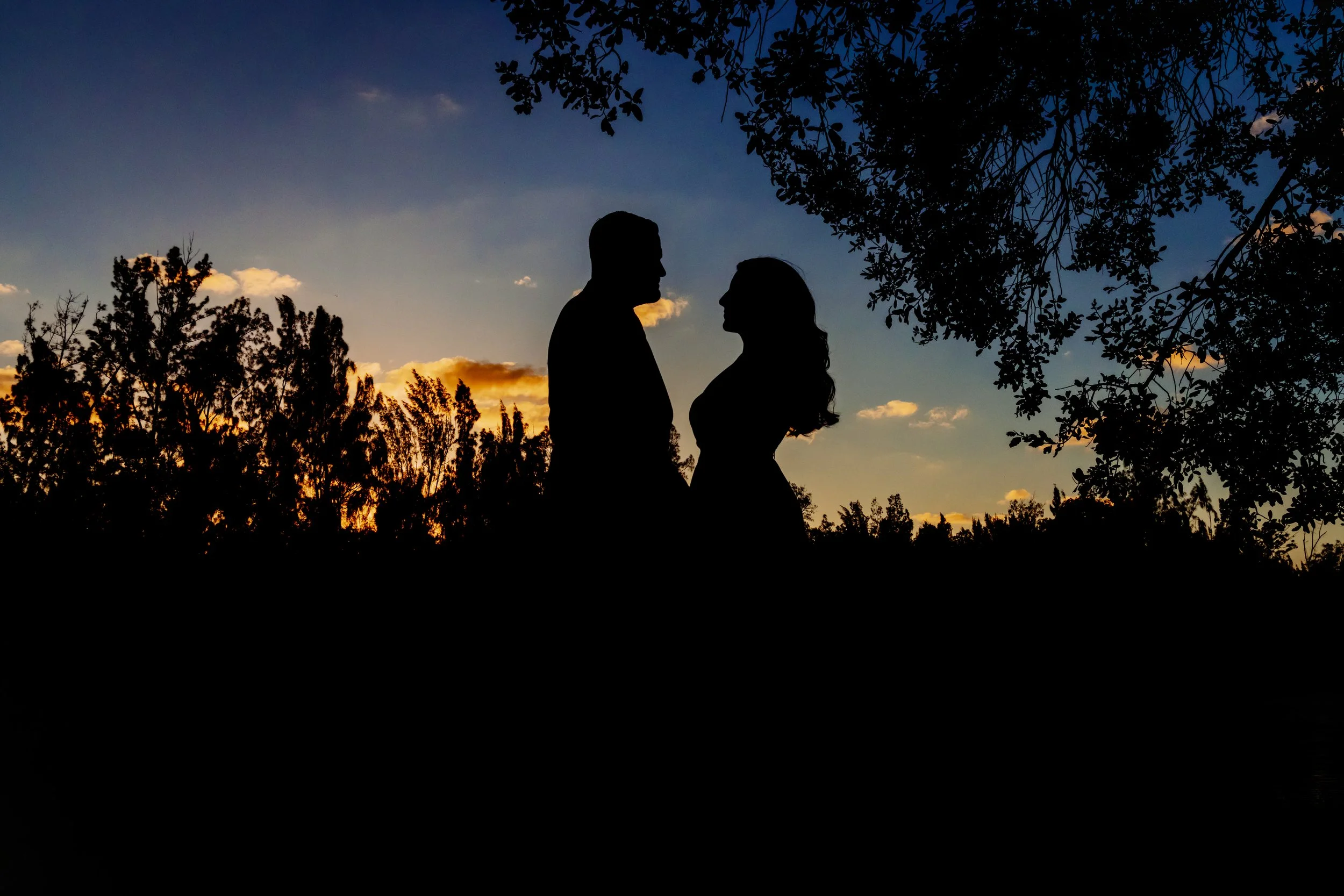 Silhouette of a couple standing close together outdoors during sunset, with trees and a colorful sky in the background.