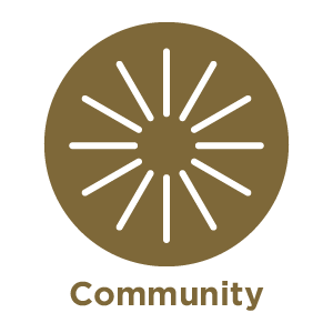 RoL_ICONS_Community.png