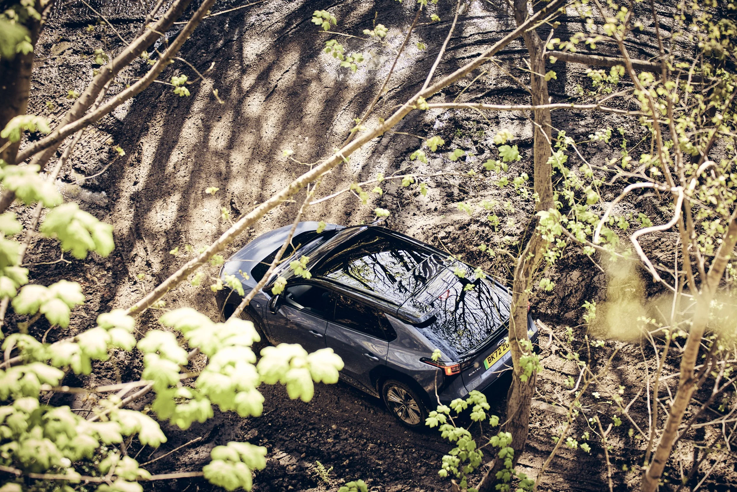 A car is partially embedded in a dirt ditch surrounded by leafless trees and branches.