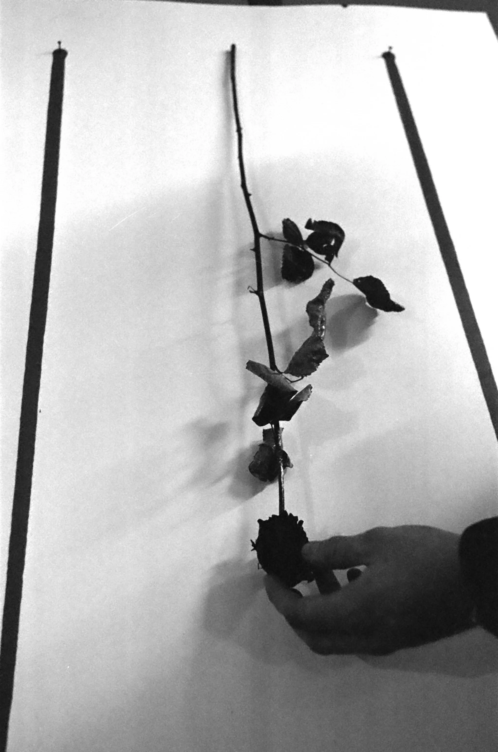 0020_20.jpg