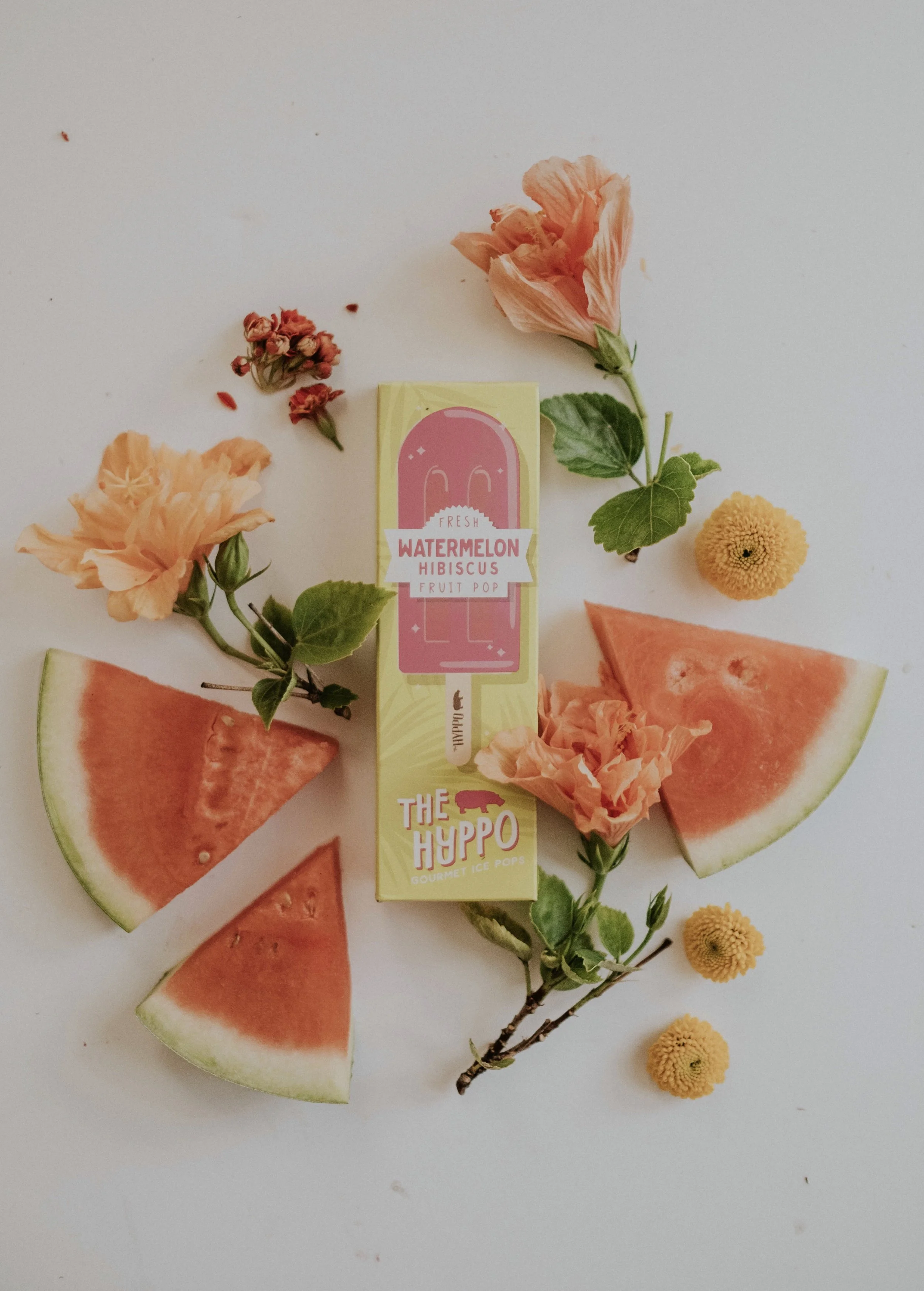 Watermelon Hibiscus Fruit Pop: a super refreshing summertime pop