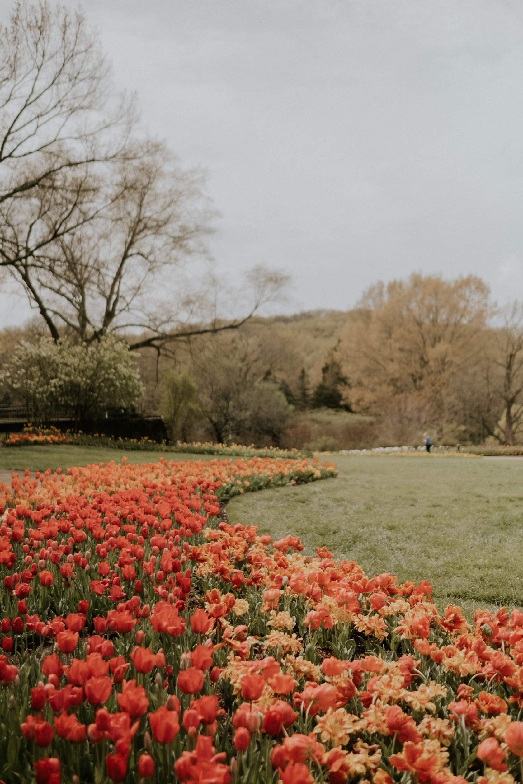 Cheekwood Gardens