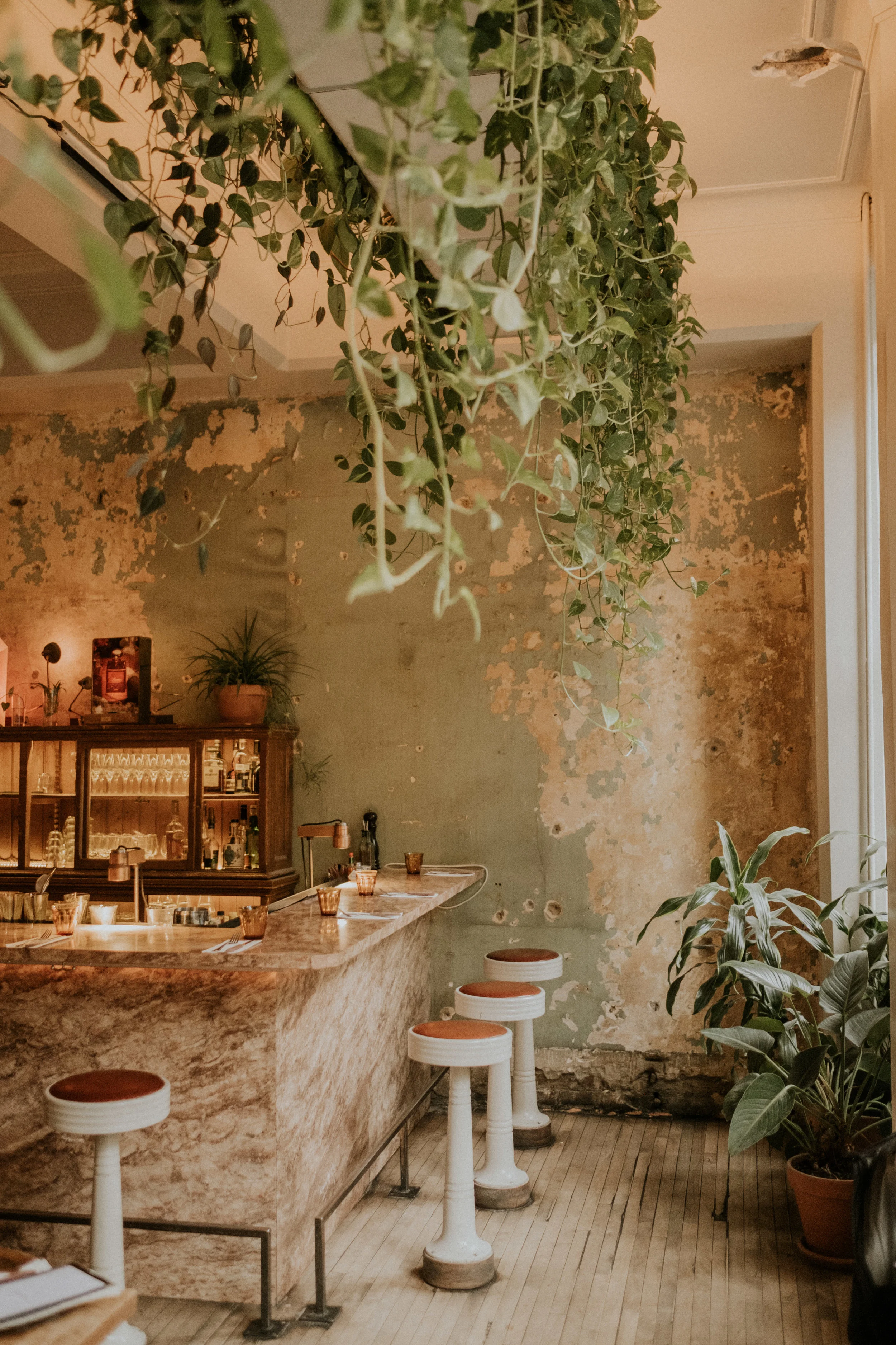 Parvais Classico.JPG