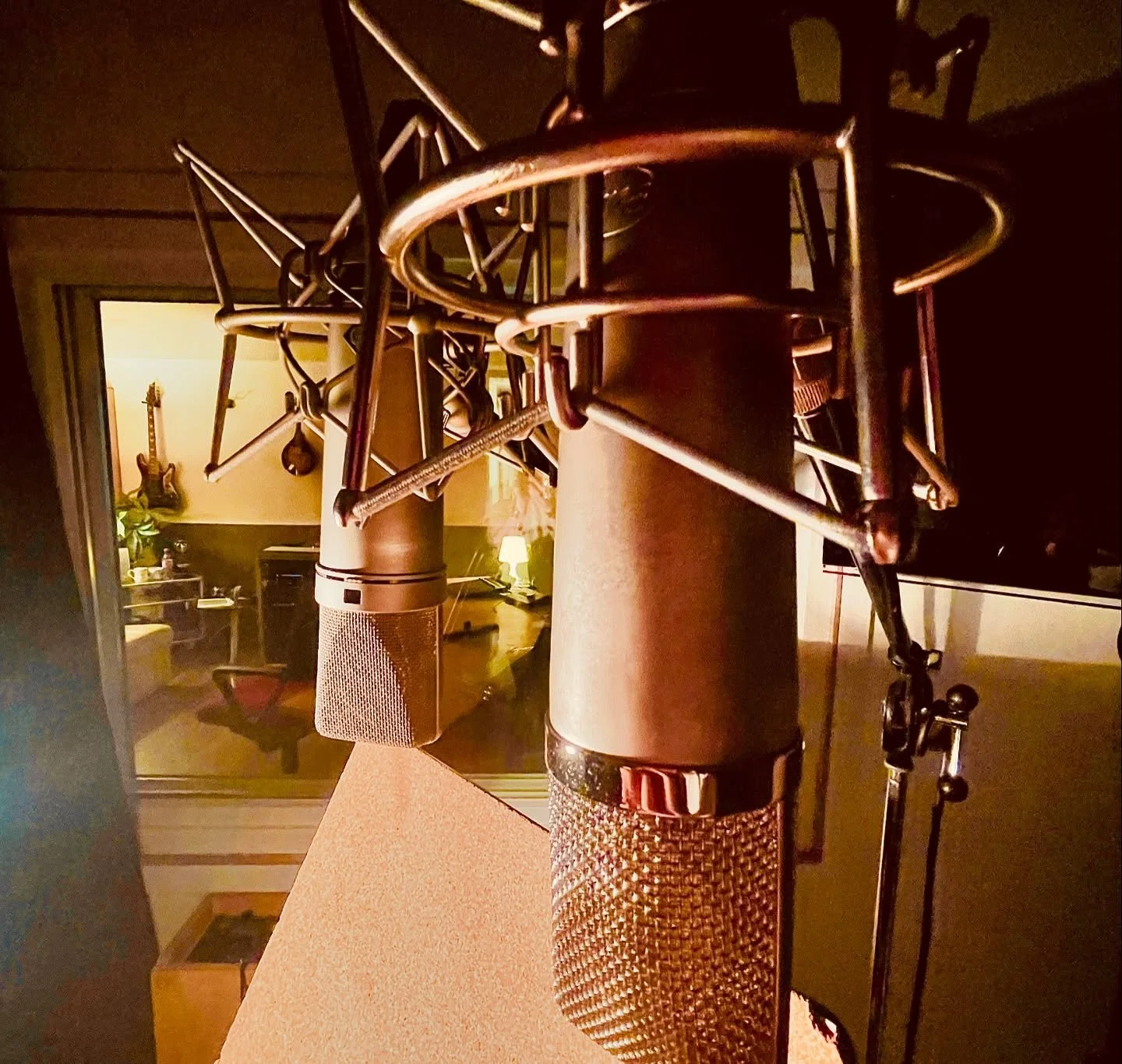 Occasionally, I&rsquo;m allowed to leave the mix stage.
Supervised, of course.
Back to vocal recording at my home at @_msm_studios 
@neumann.berlin or @pelusomicrophonelab into a @uaudio UA 610 Solo.
Same obsession, different playground. 🎛️🎙️