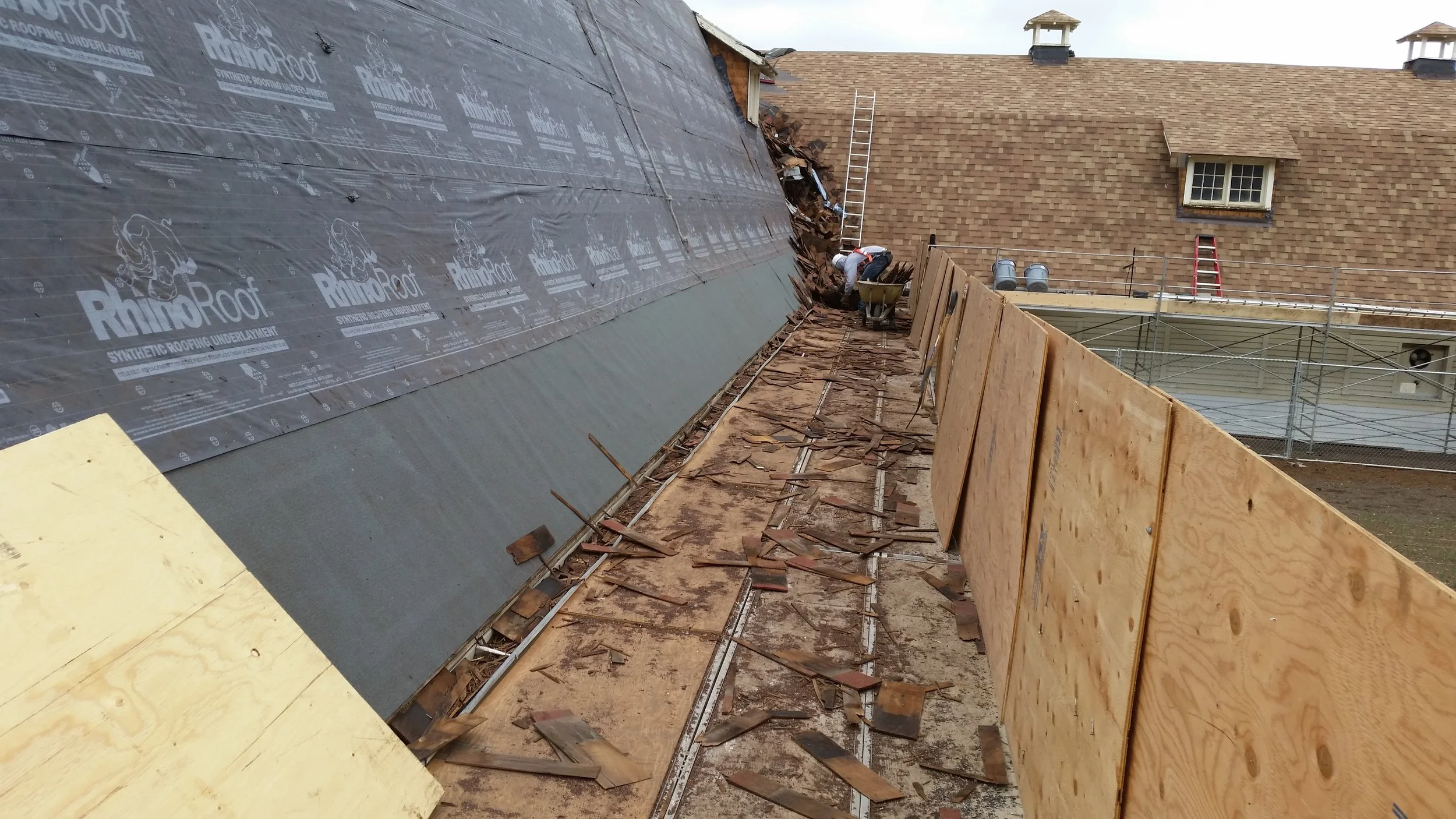 20150424_122955.jpg