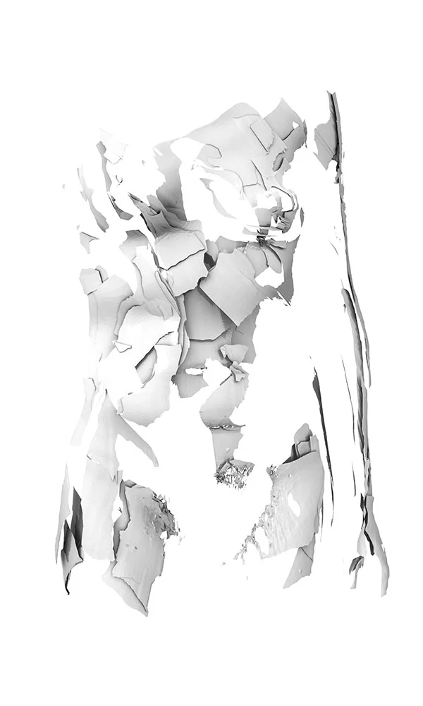 Torso VIII