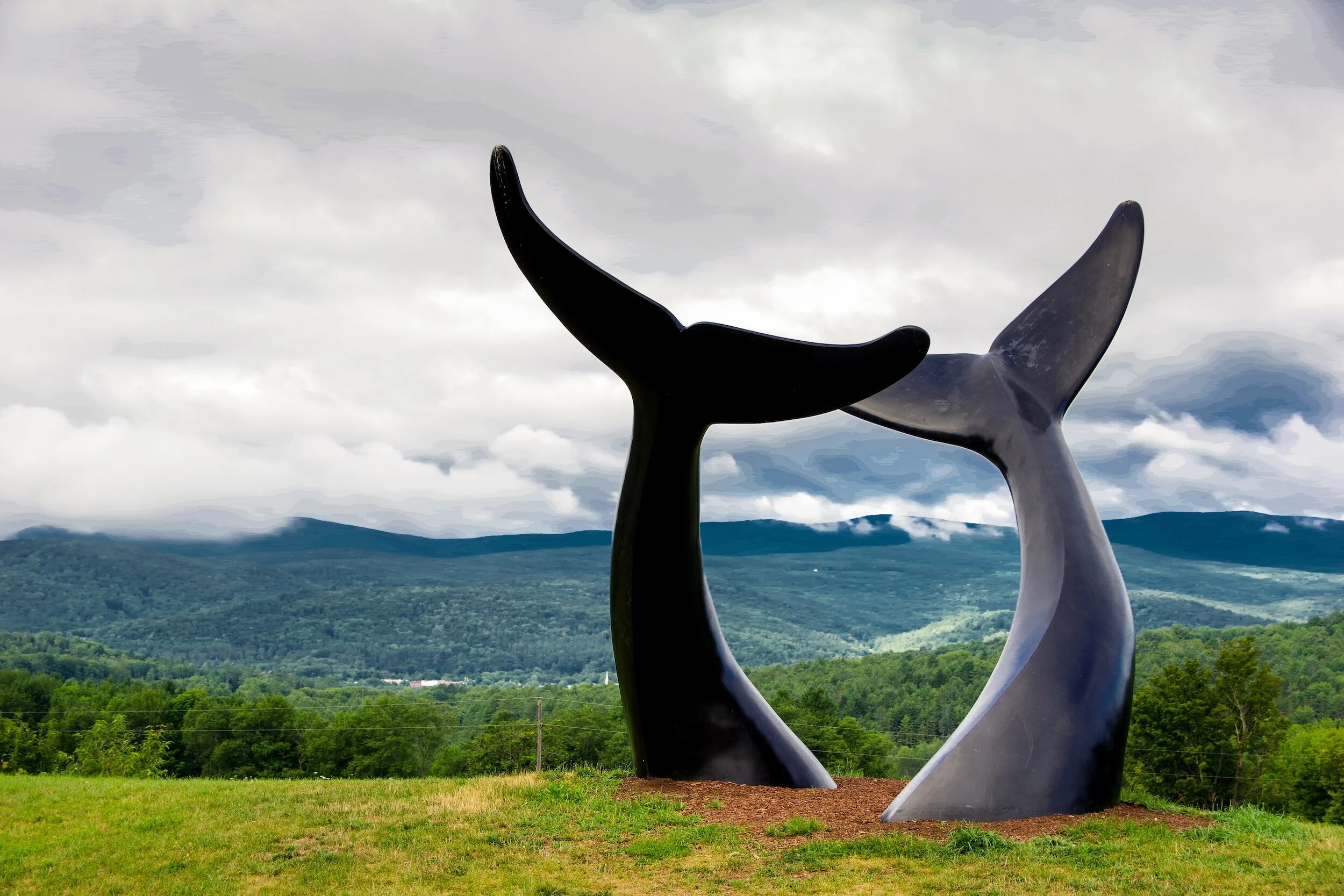 Walking &amp; Biking Forward: A Conversation with Abby Bleything