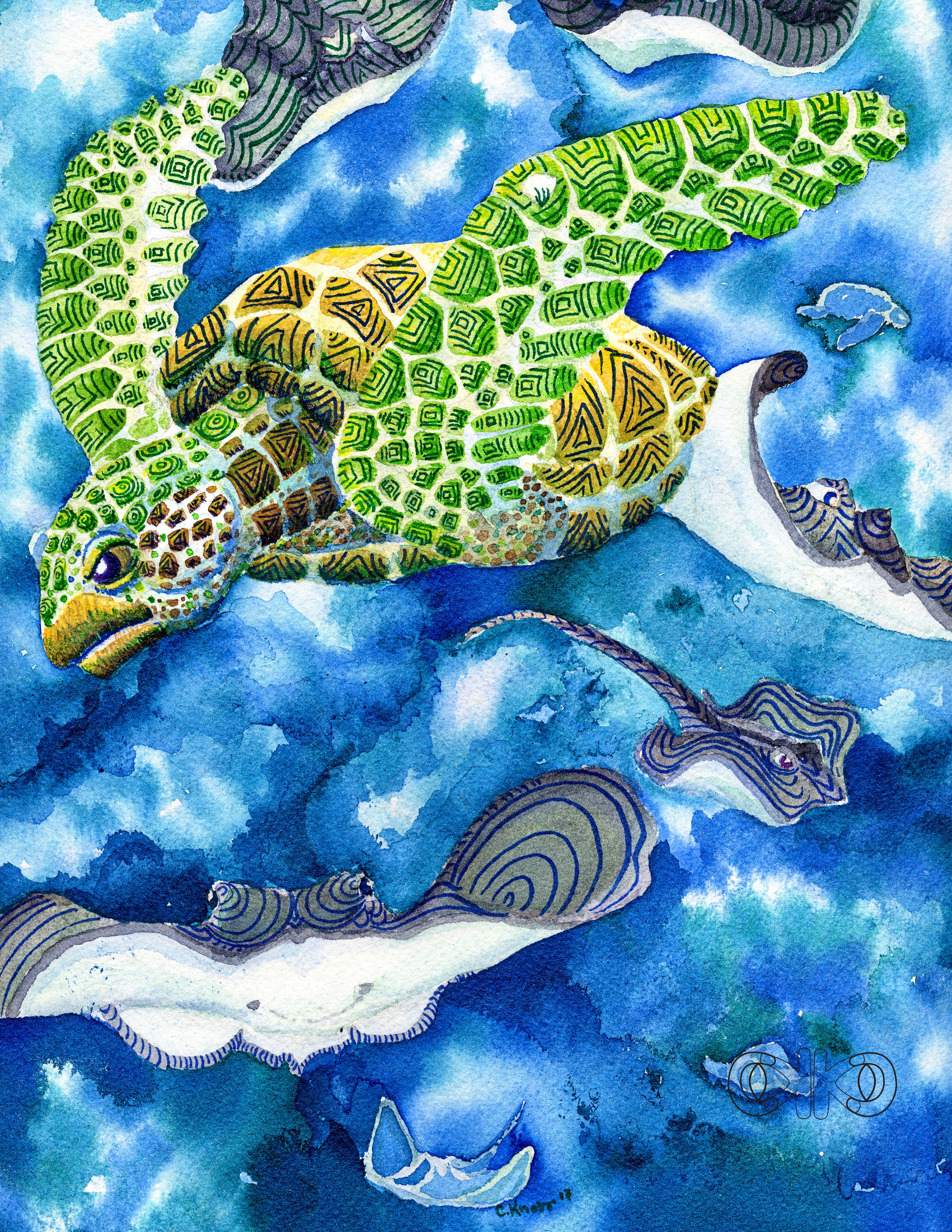 seaturtle8.jpg