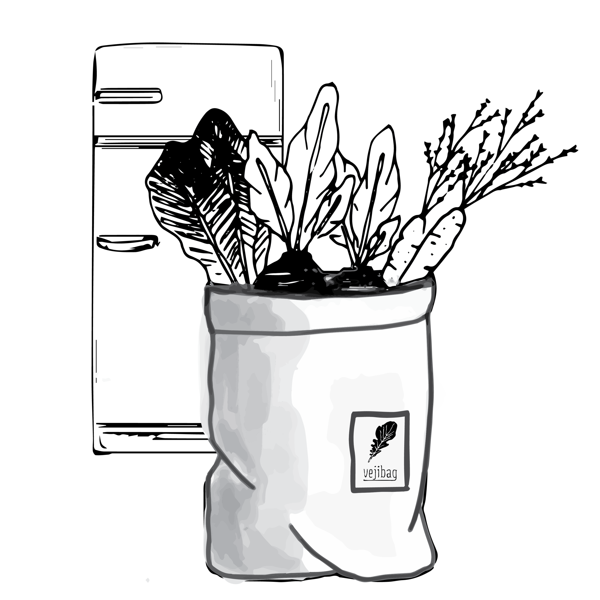 Store and Enjoy.png
