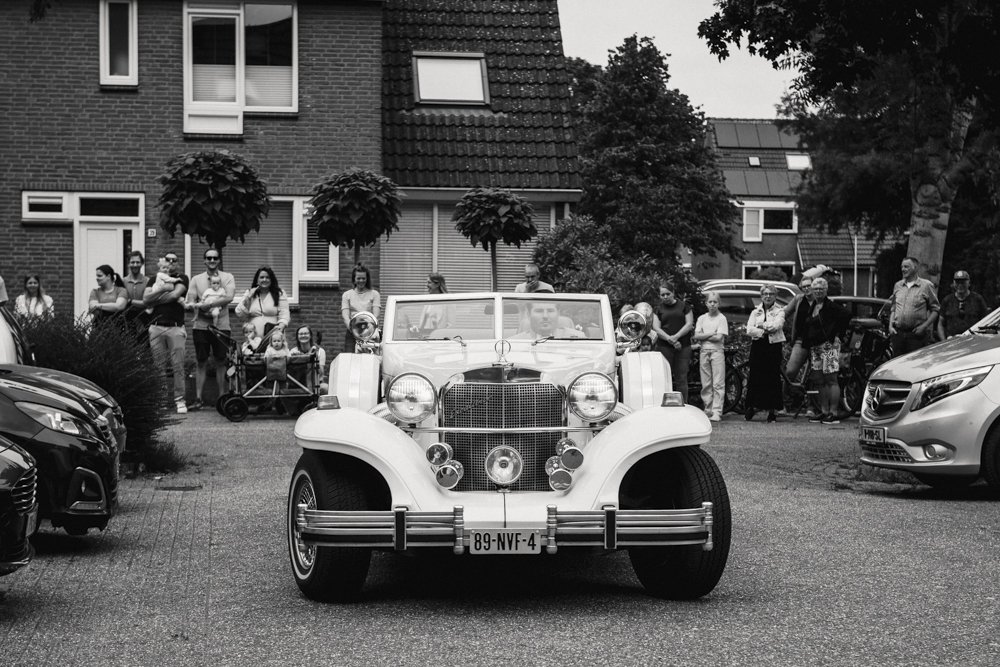 _BOS4437.jpg