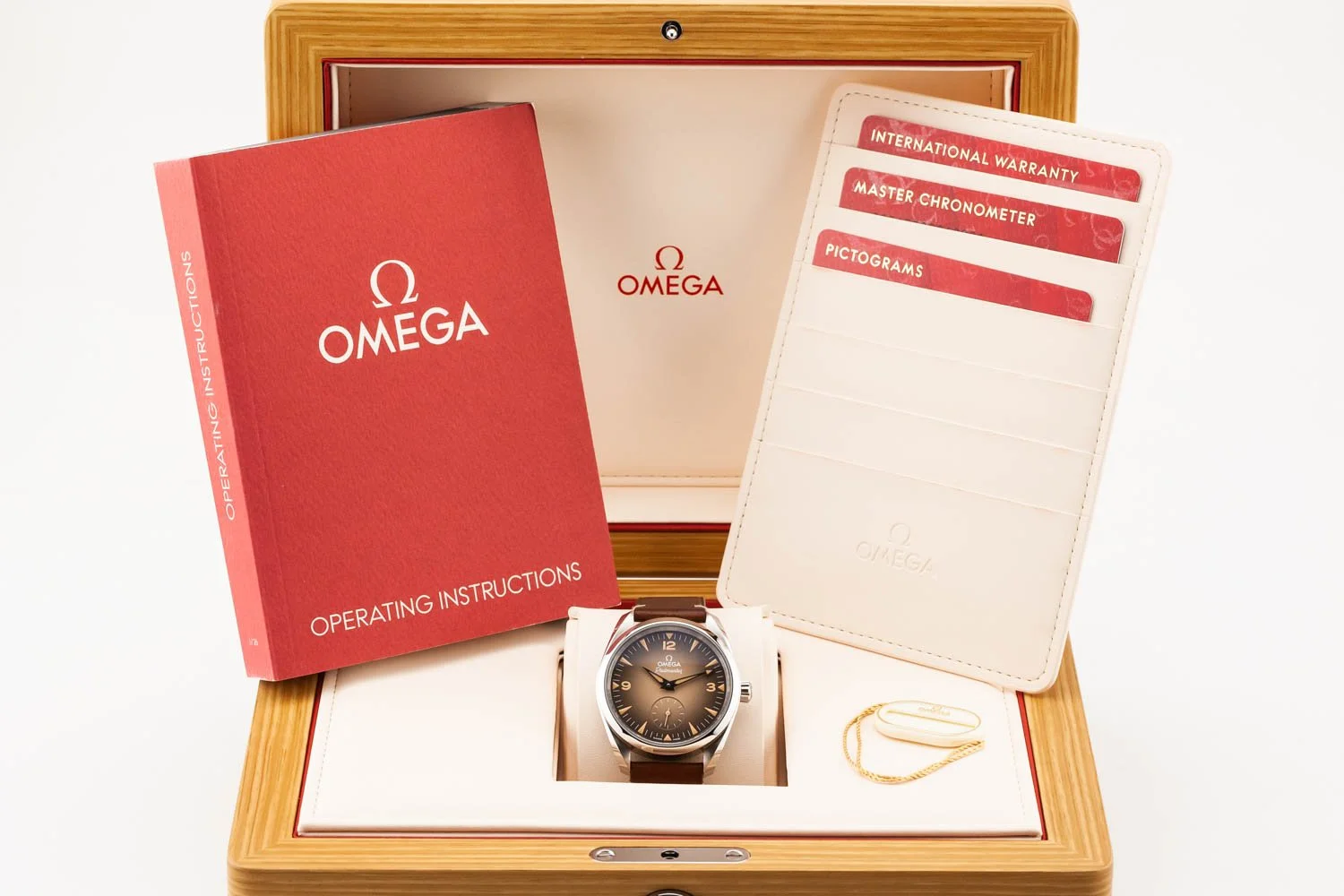 Omega Railmaster 38mm Brown Leather PO 100126 (9 of 9).jpg