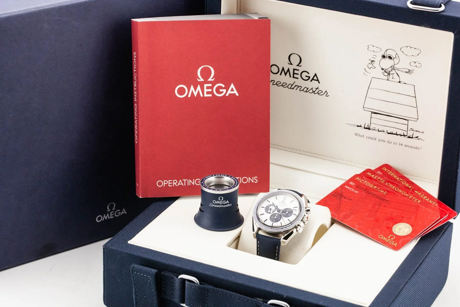 Omega Speedmaster Silver Snoopy PO 112025 (9 of 9).jpg