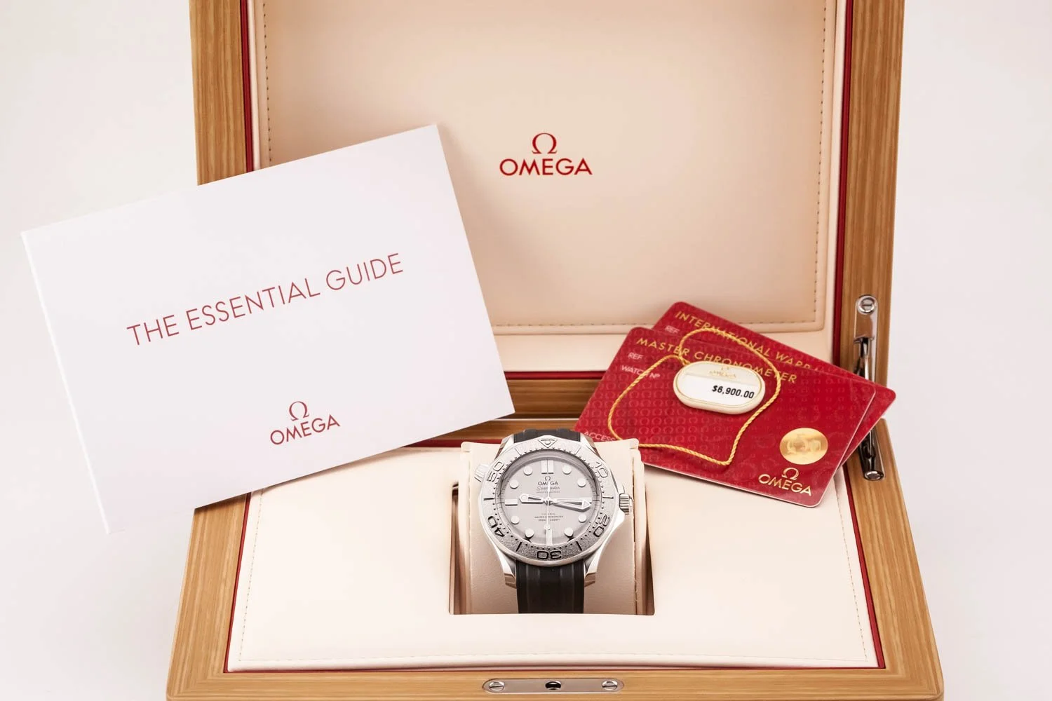 Omega Seamaster 300 Grey Titanium Diver New Updated Kit Shot 081926 (1 of 1).jpg