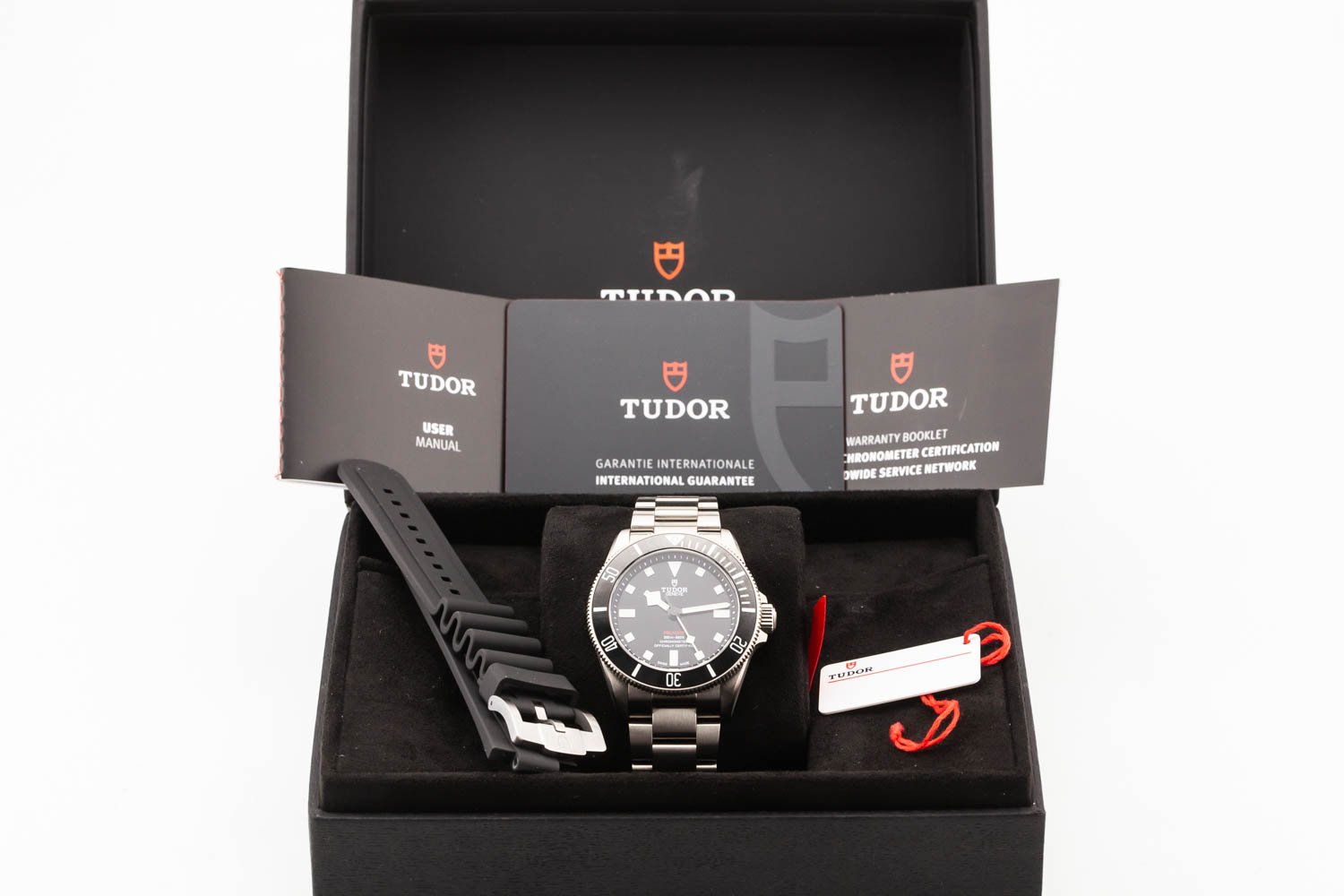 Tudor Pelagos 39 Titanium Mint 25407N 063025 (10 of 10).jpg